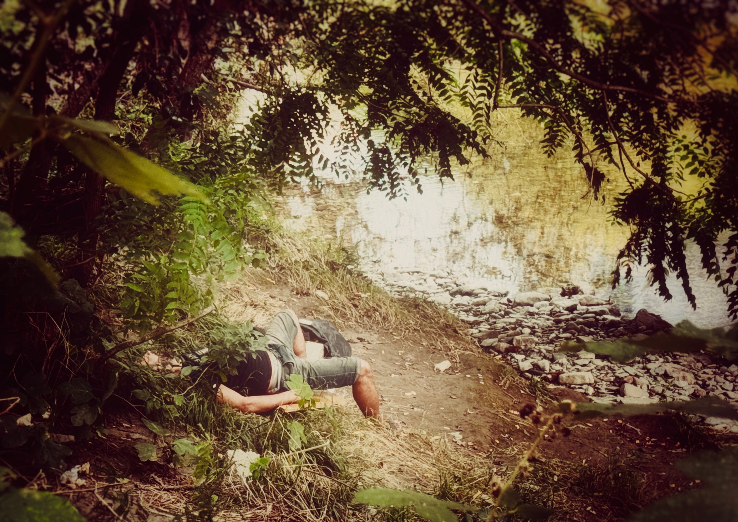 Мир вокруг. Фотограф • Елена Миронова