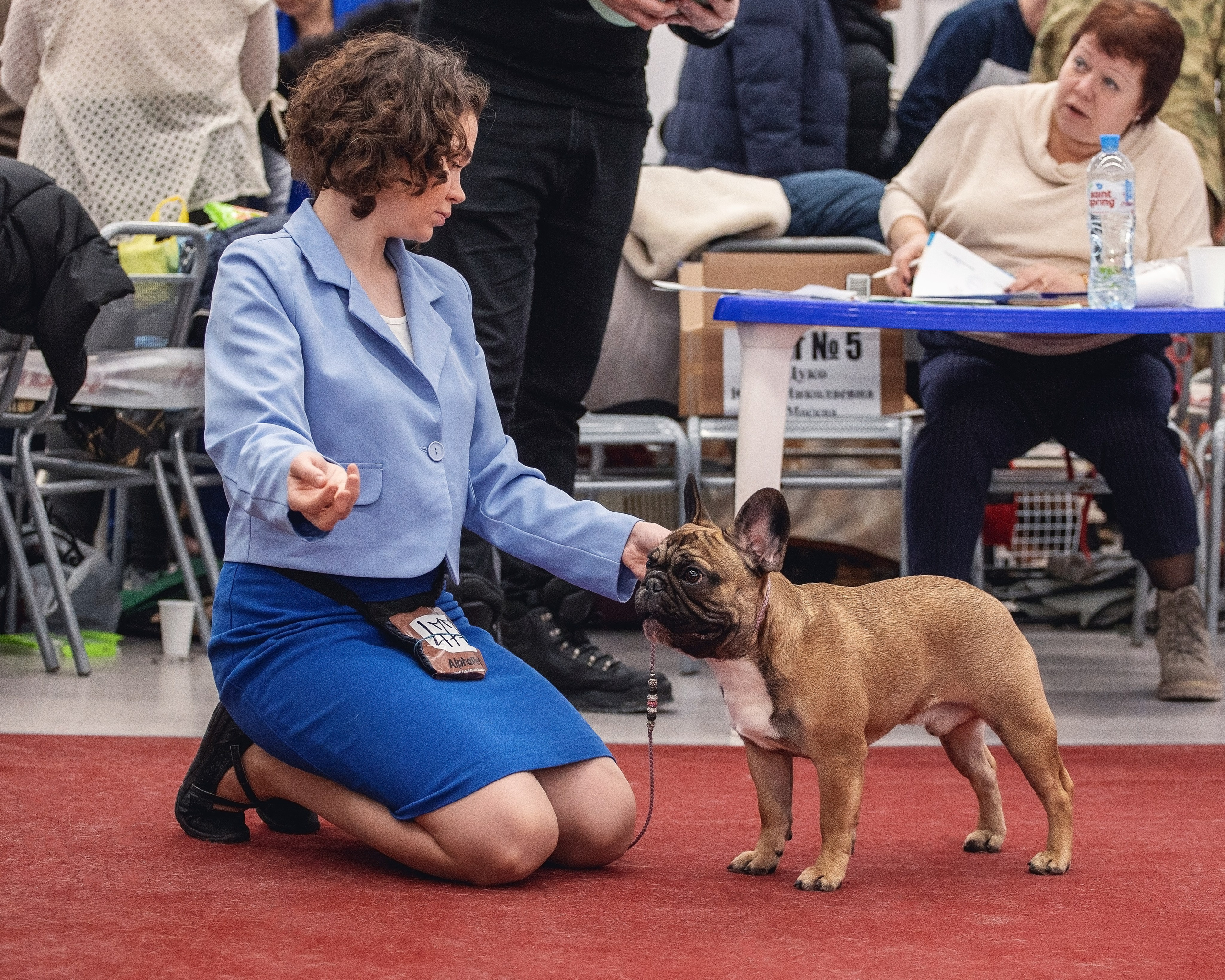 20.01. 2024 Тюмень. YULA KOLESOVA | Фотограф — Анималист | Художник | Тюмень