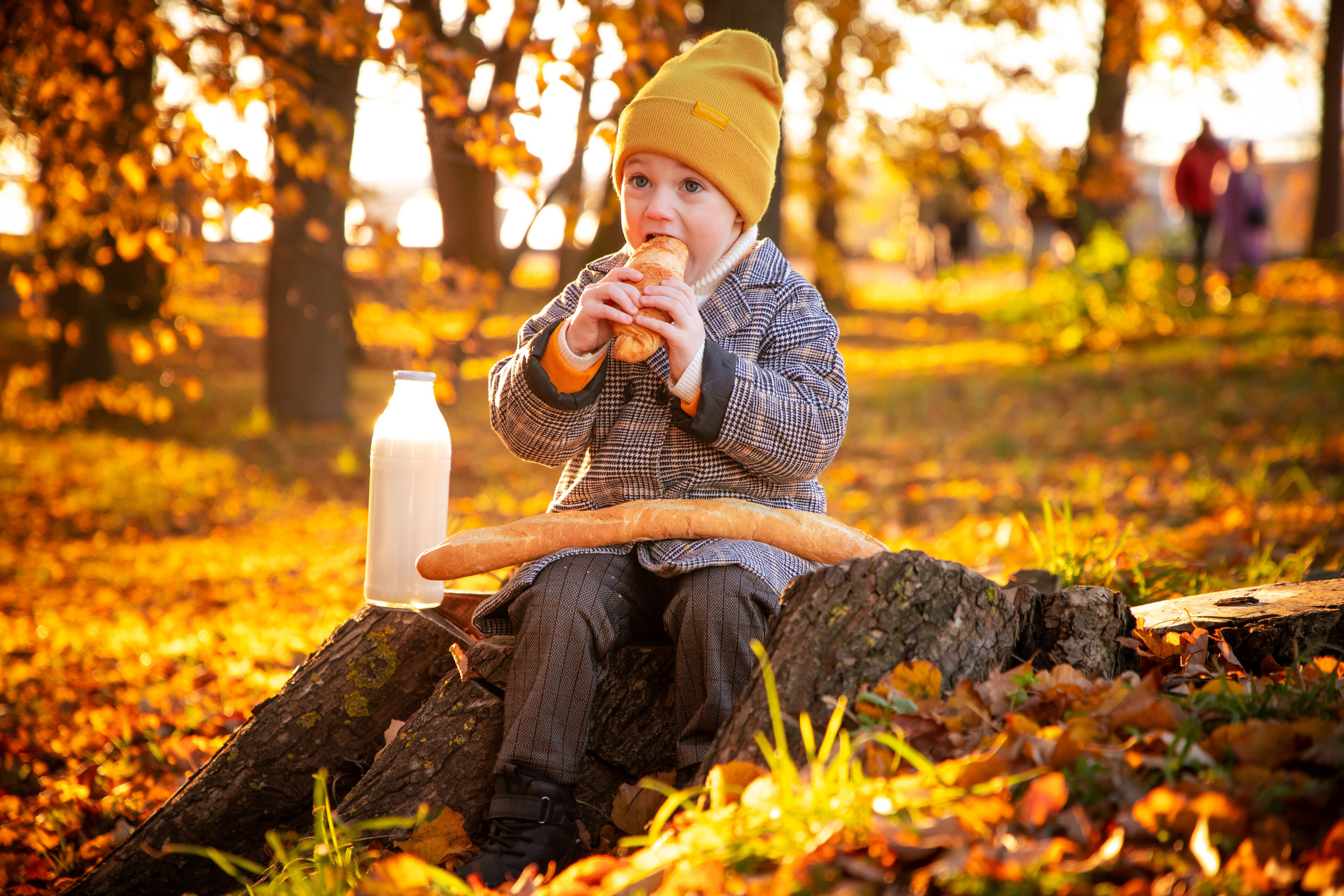 Осень. Фотограф Алексей Шуля — портфолио