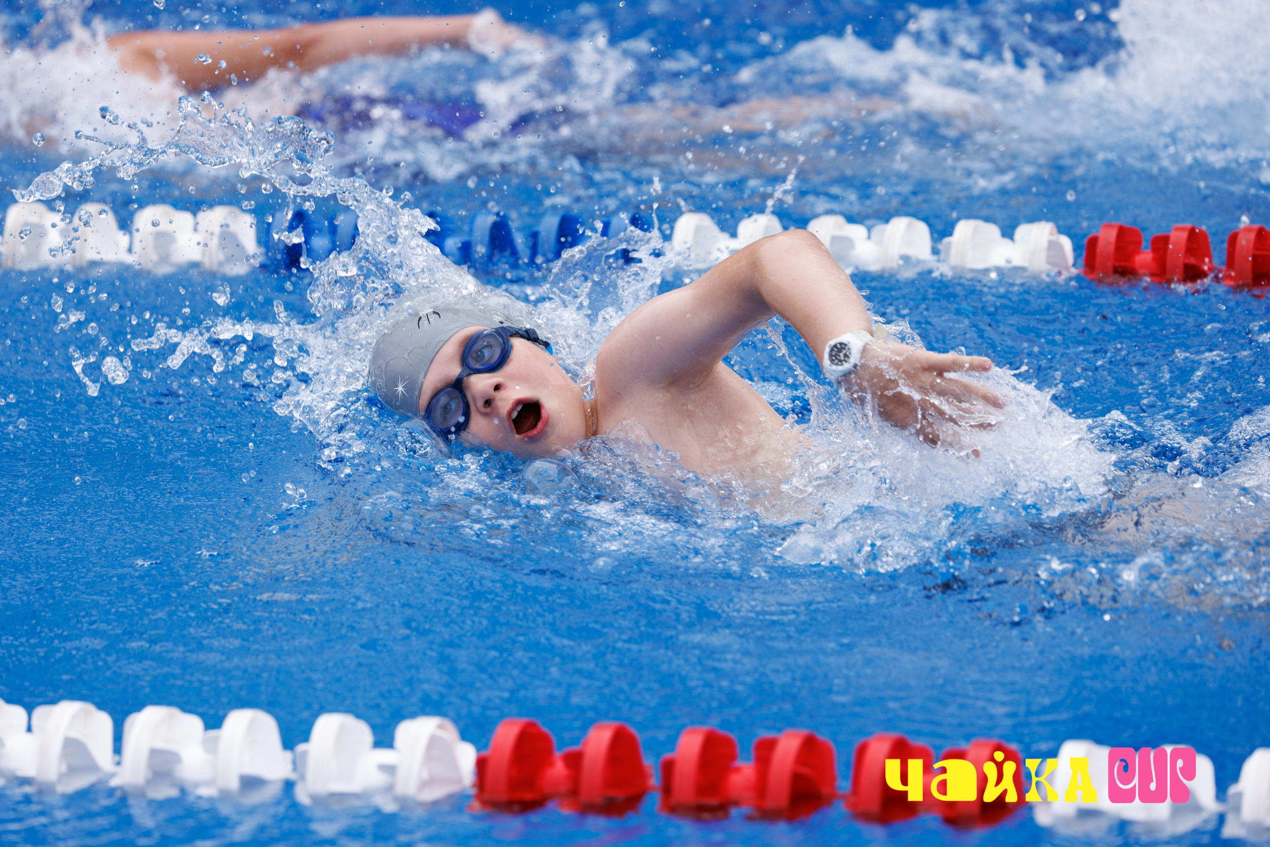 Чайка Cup / II этап. Спортивный фотограф Алексей Соломин