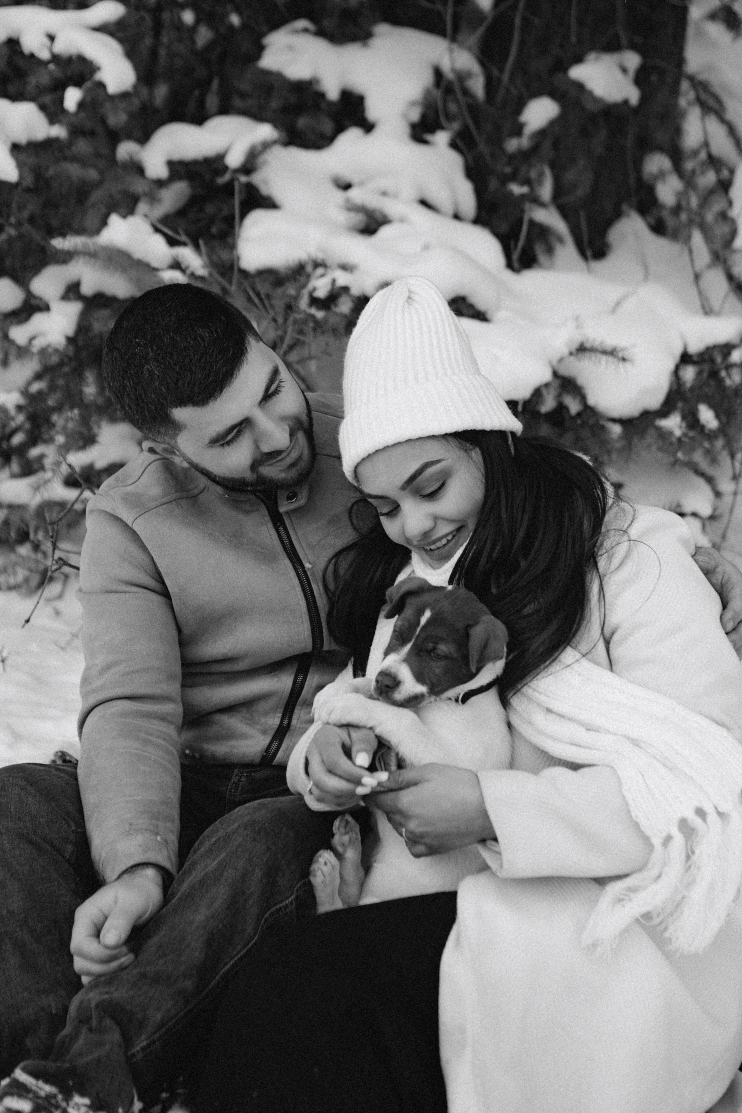 Снежинки. Գլխավոր