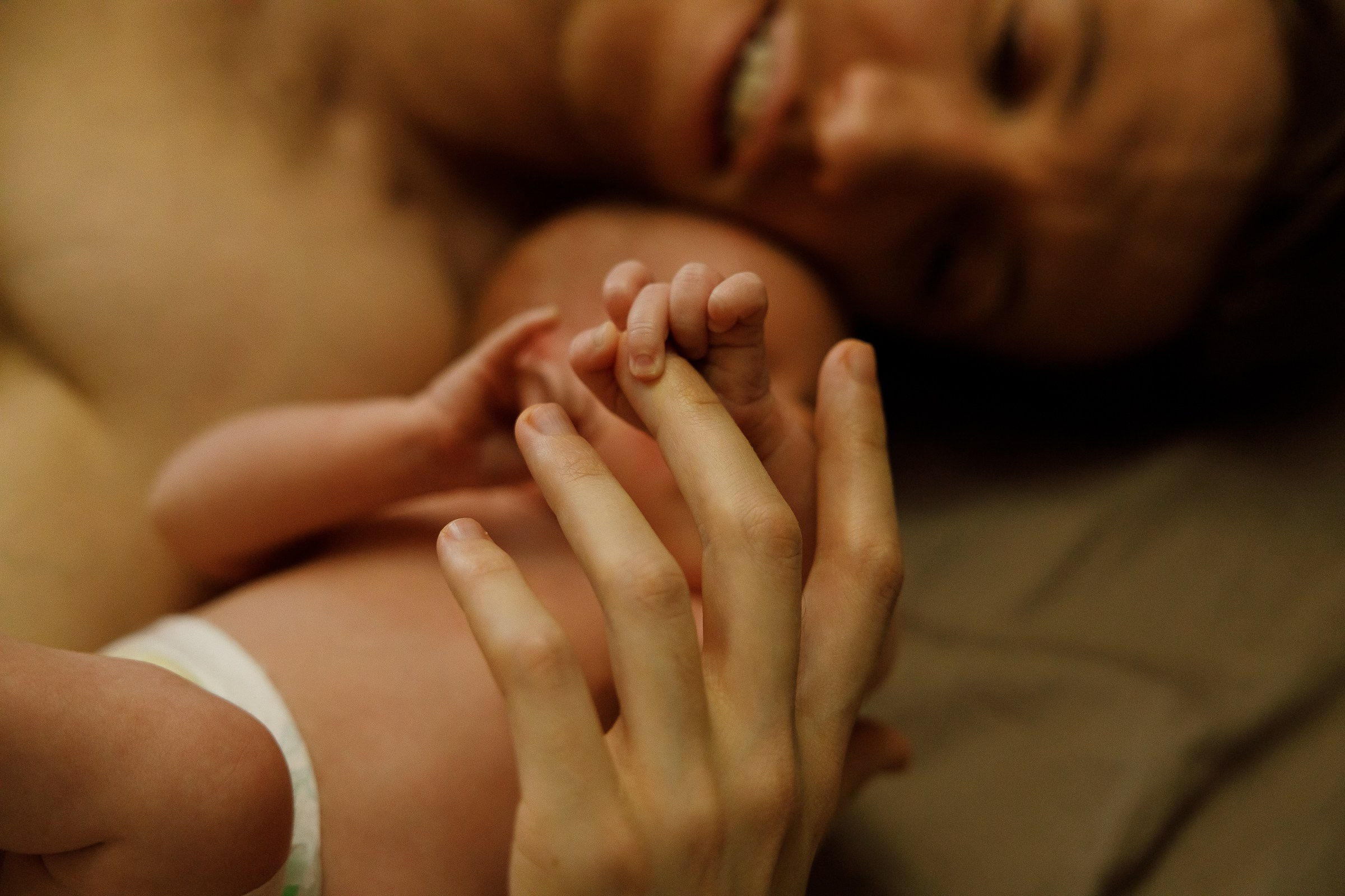 Месяц Александре. Фотограф Москва