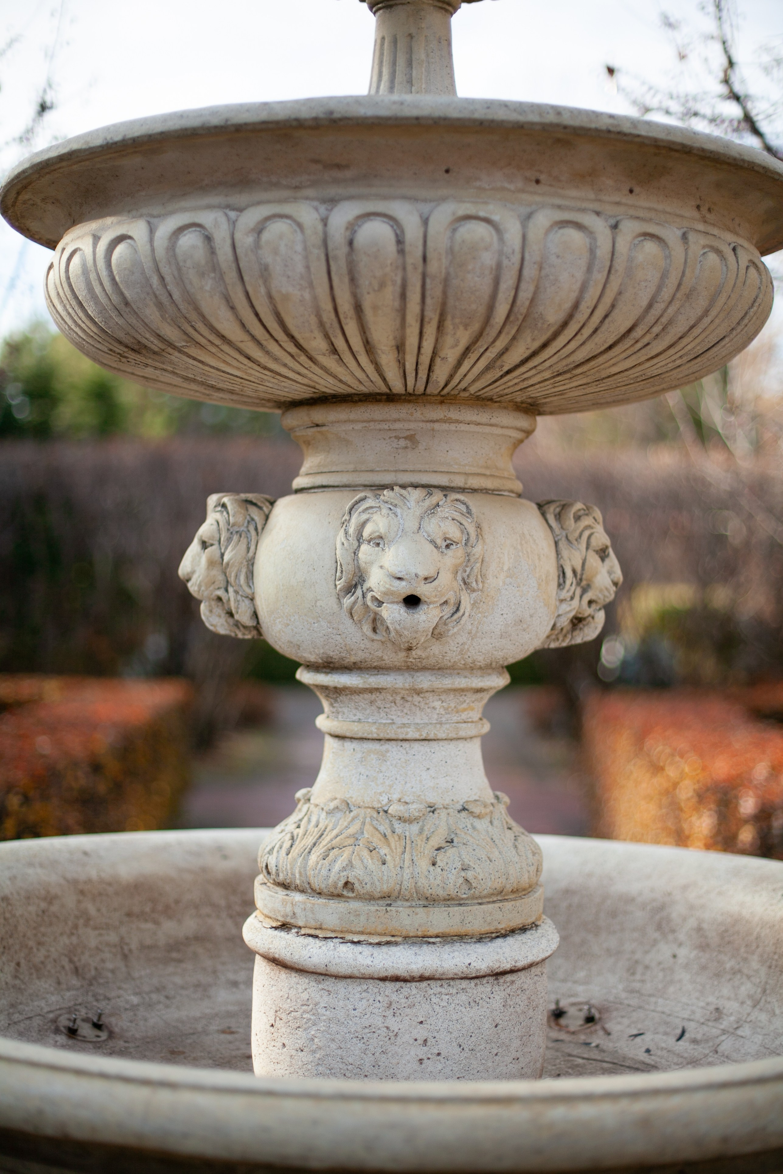 Сады Мечты. Контент для сайта. Фотограф Дарья Локотко в Красноярске