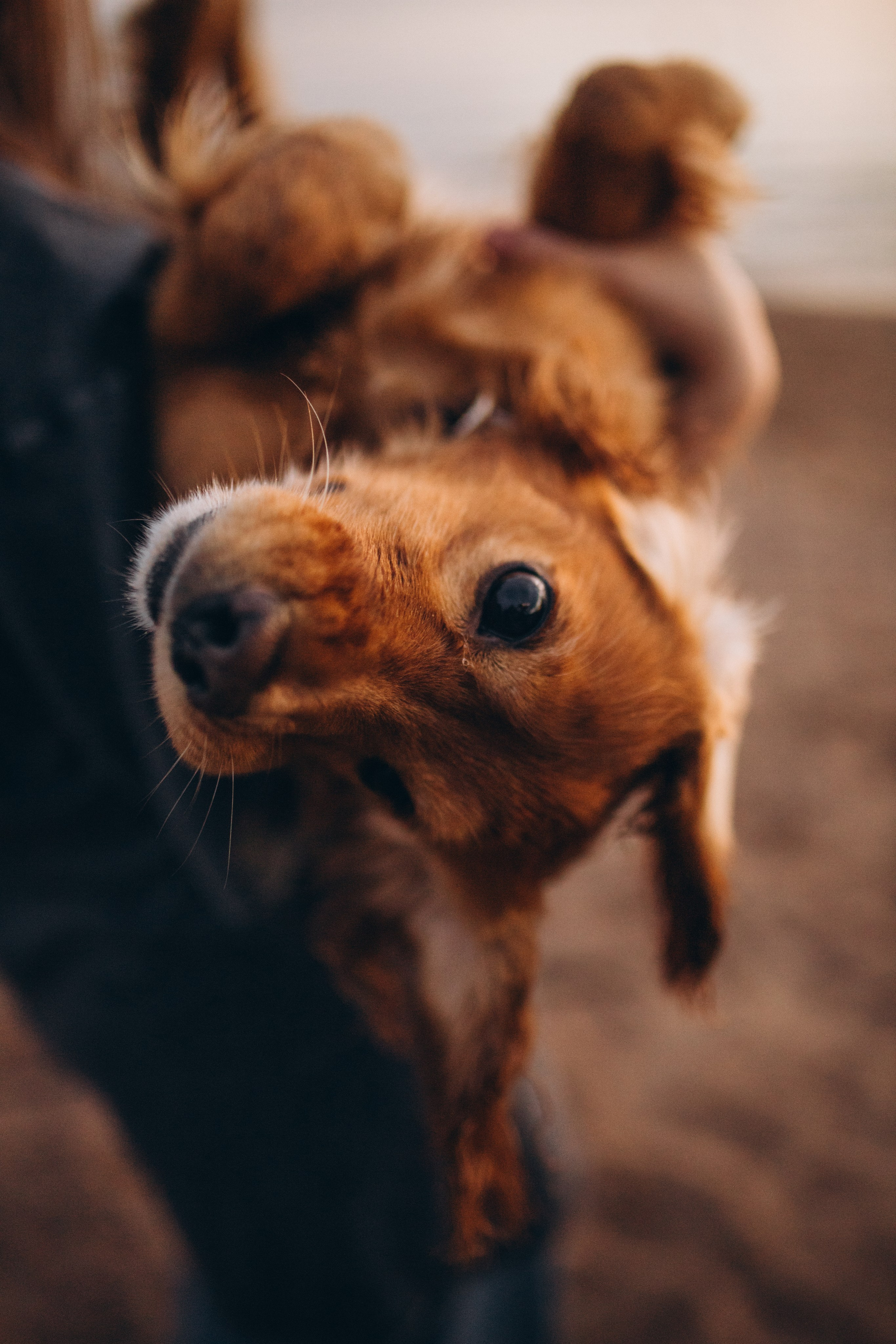 Кристина & Женя. Фотограф Винокурова Кристина в Санкт-Петербурге