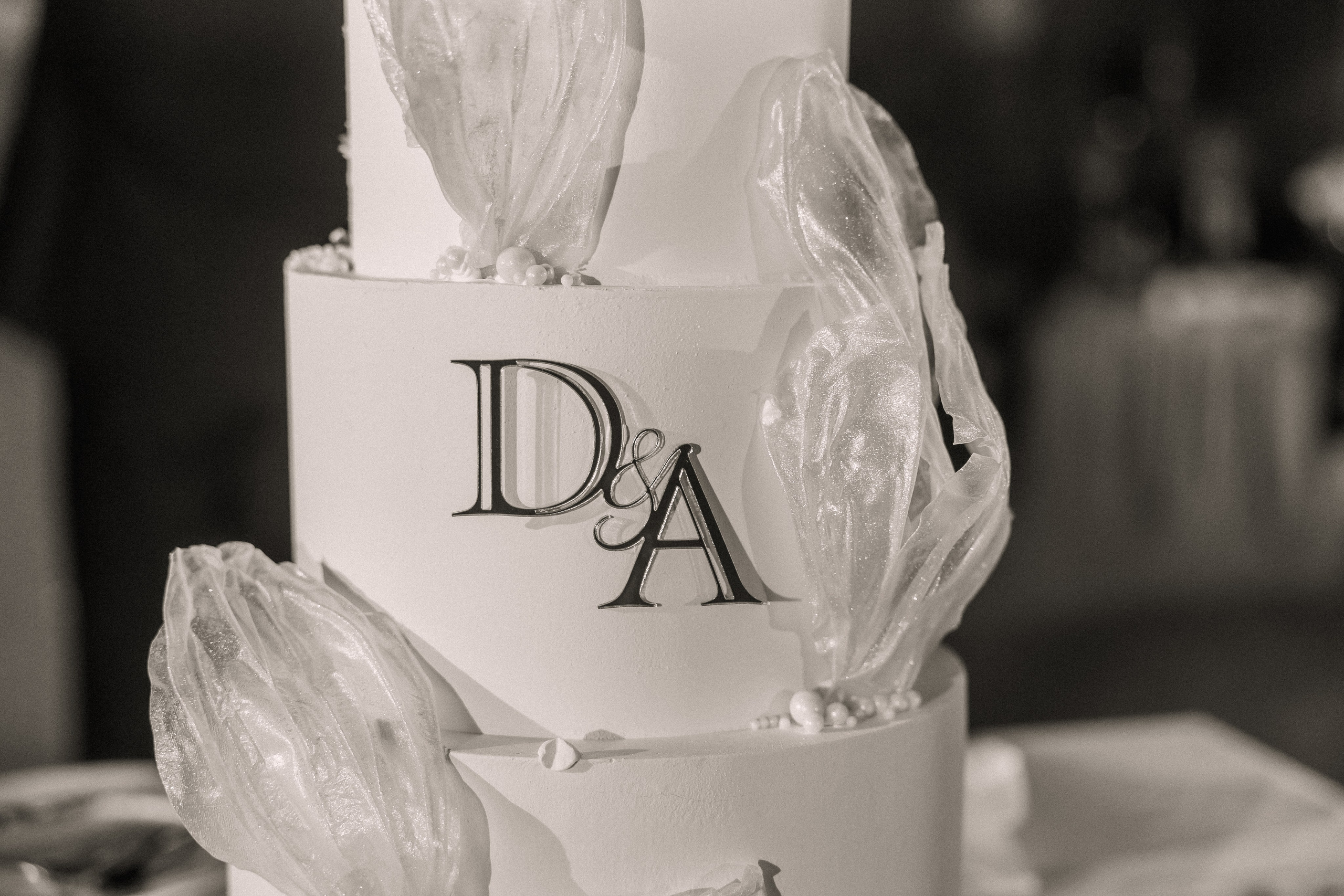 Даниил и Алина. Вечер любви. Свадебная фотография. Арина Рубах