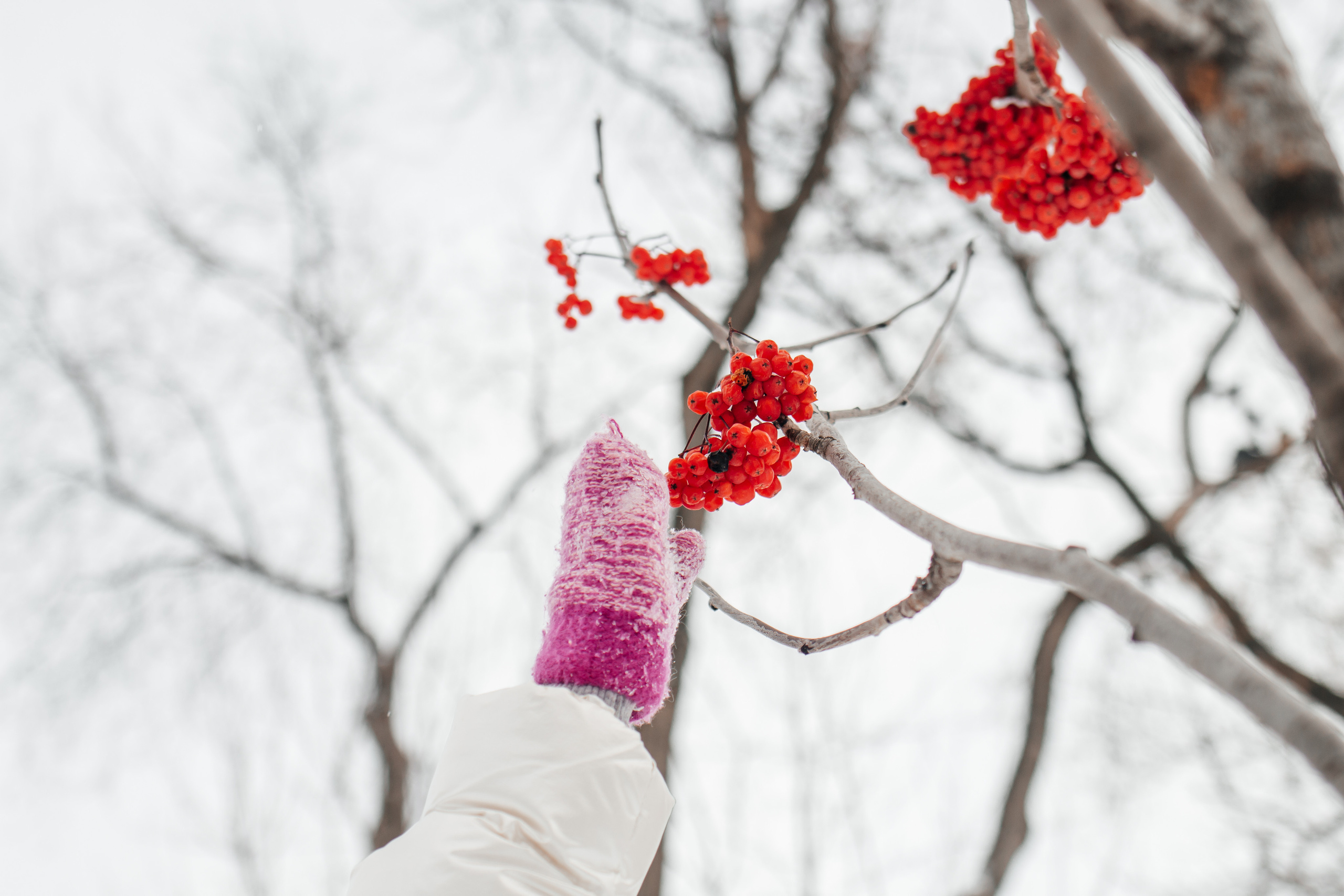 Дима и Арина. Life style photographer