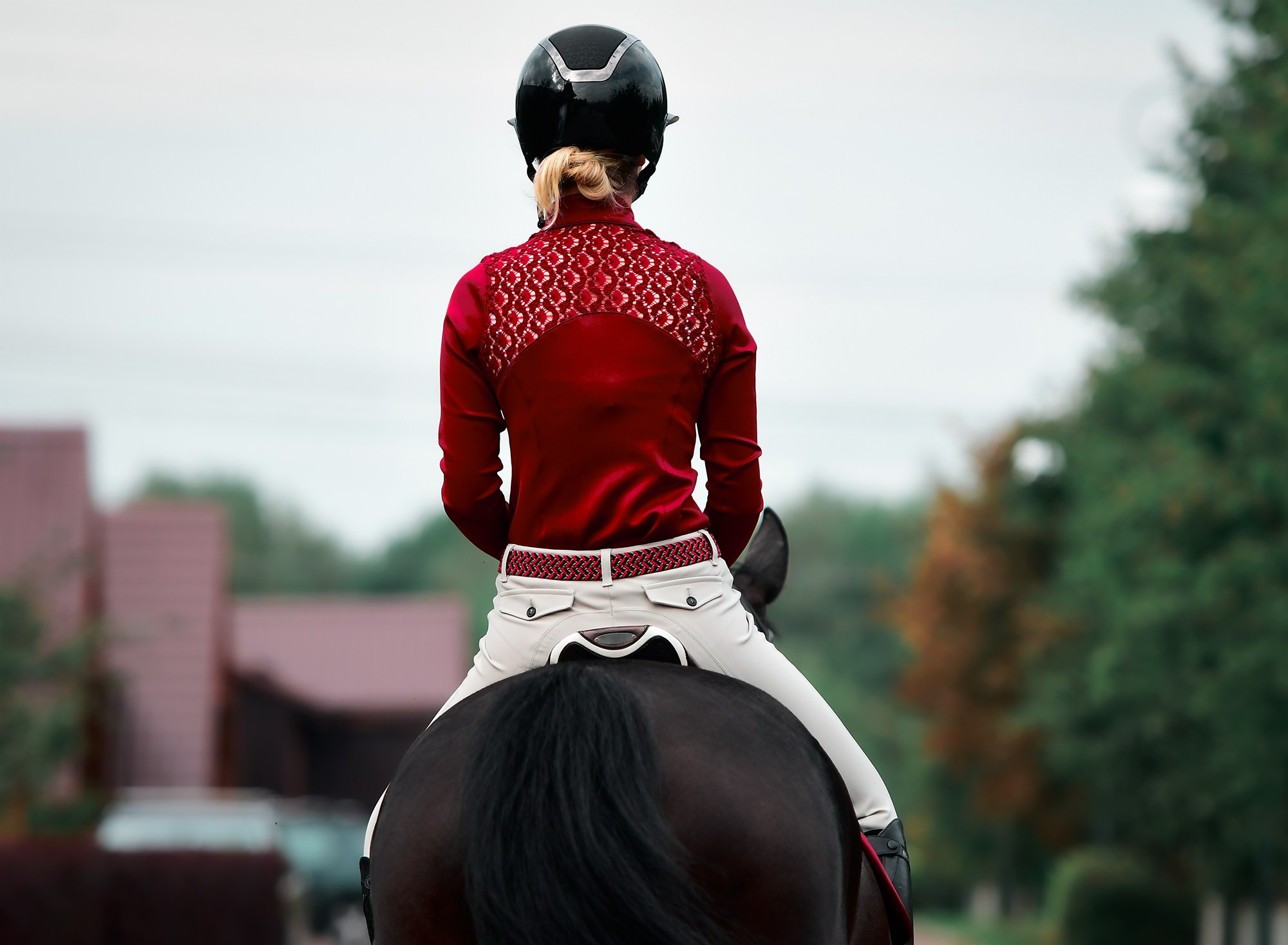 Тренировки. Конный фотограф Alesya Safe