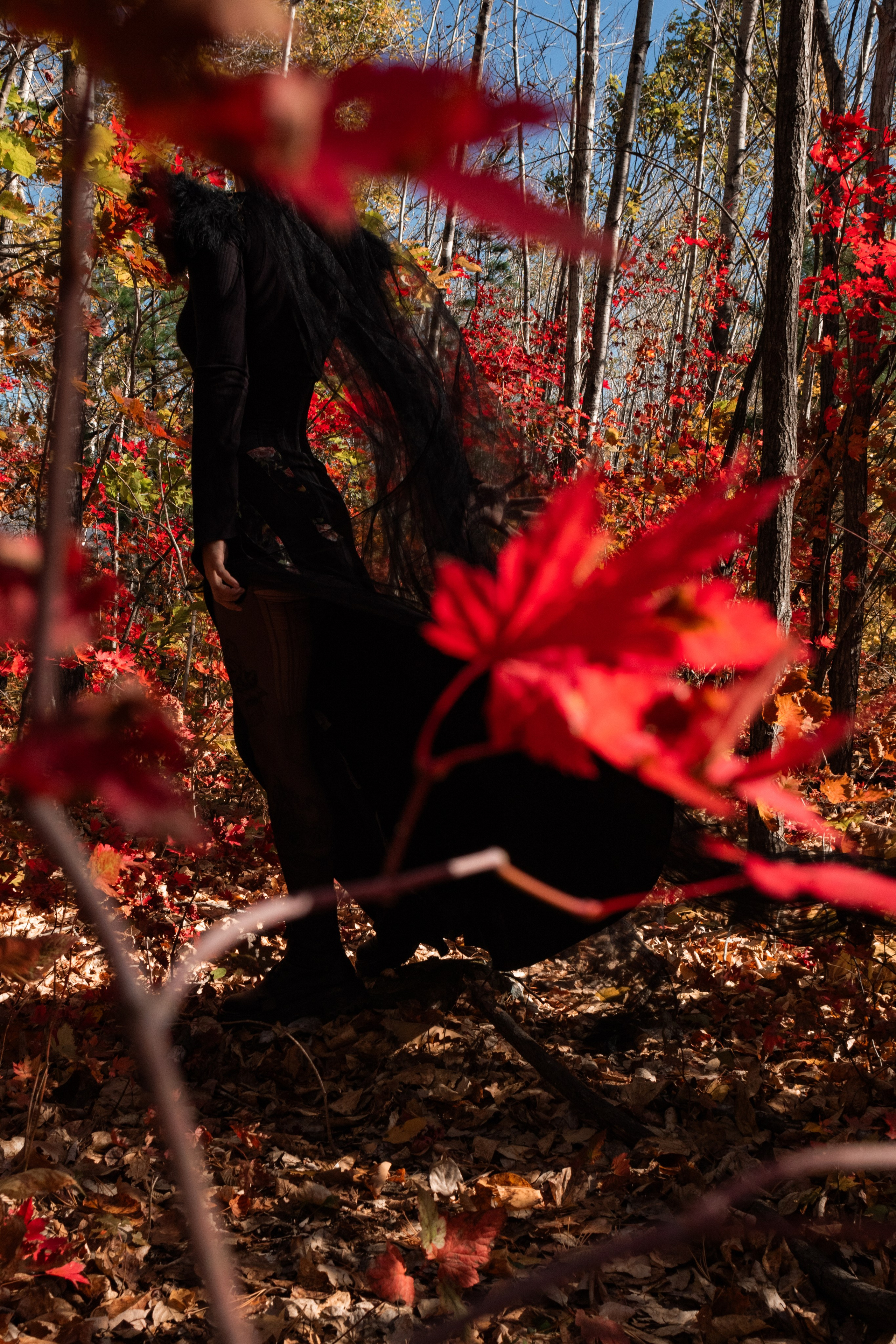 Художественная фотосессия во Владивостоке, девушка размахивает руками, крупный портрет девушки, красный цвет, осенние листья