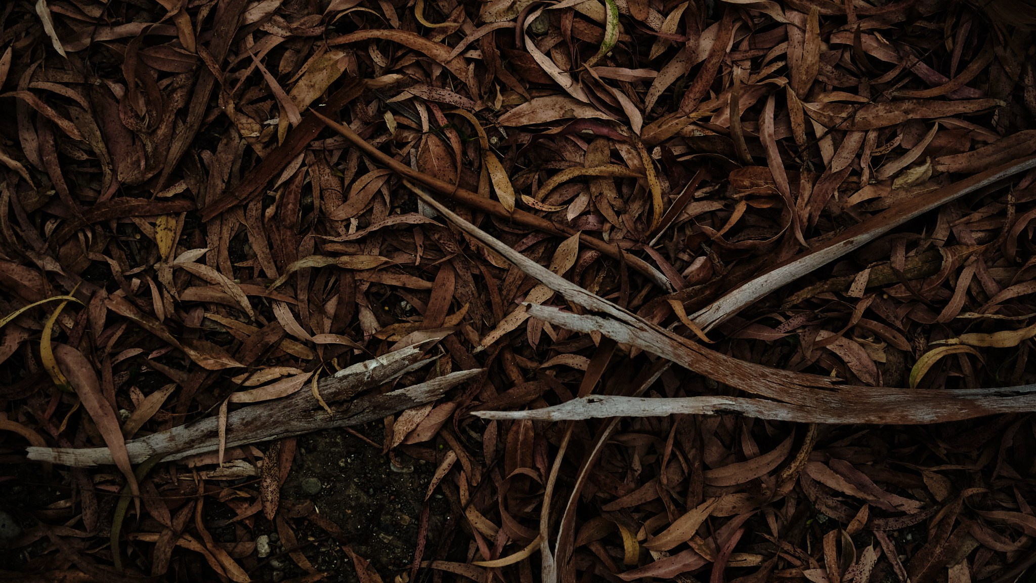 Фотограф Владимир Кононенко