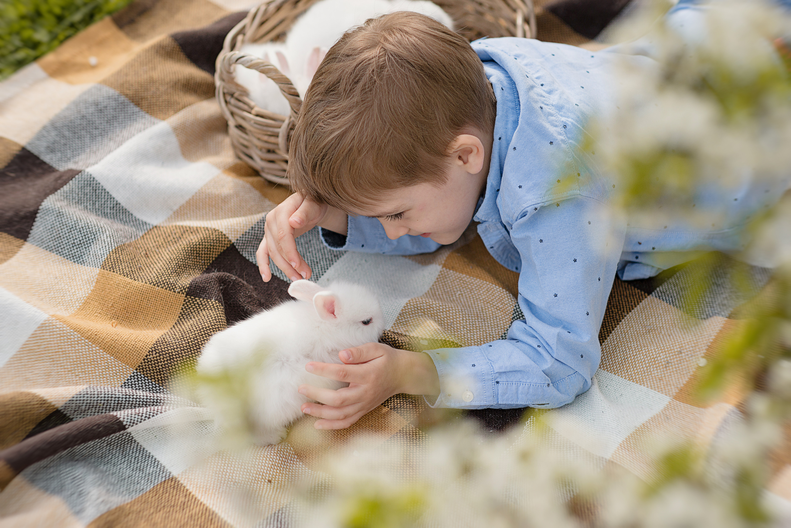 Цветущие сады. Фотограф Москва — Серпухов — Таруса Ольга Кокеткина