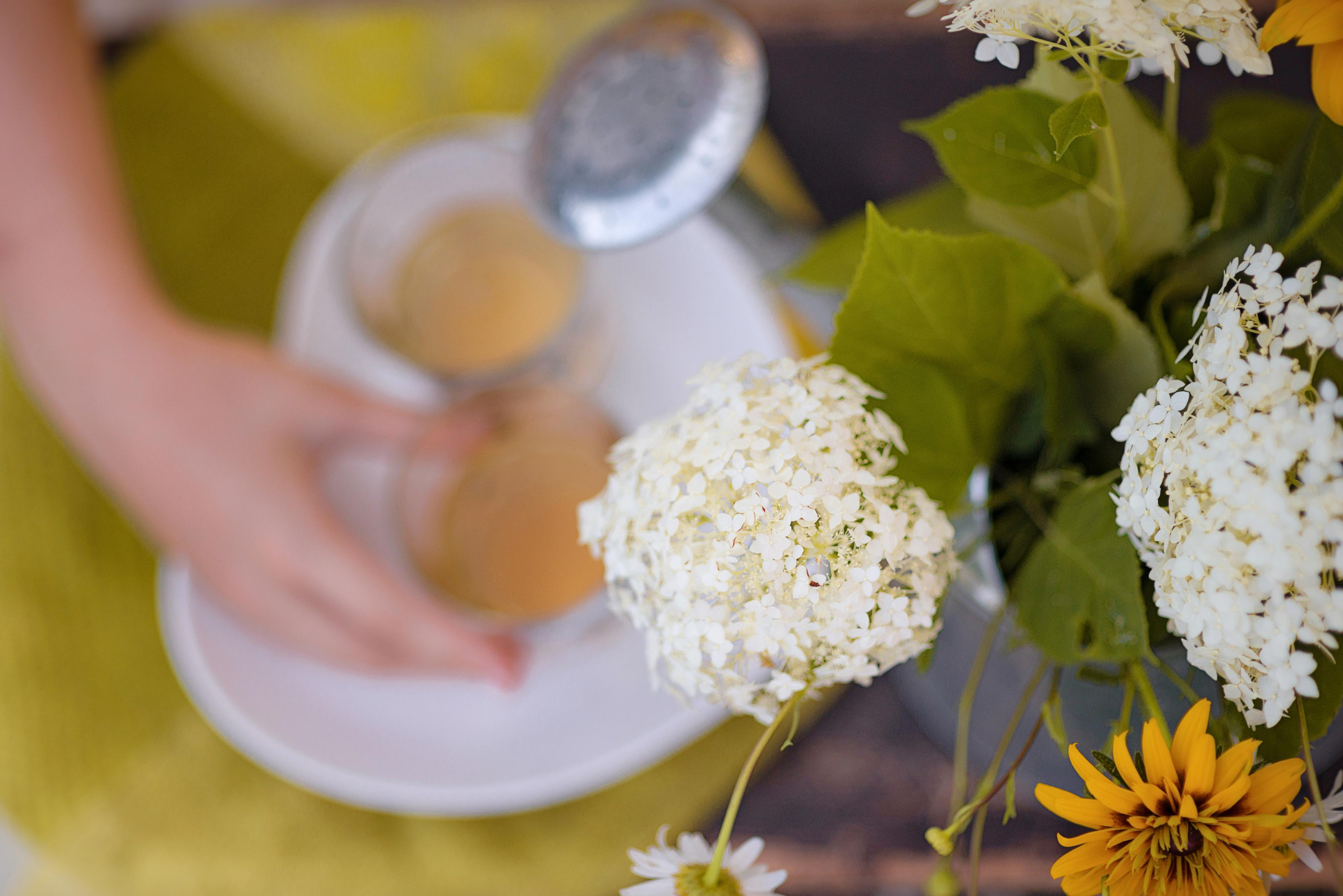 Пикник с желтым арбузом. Фотограф Москва — Серпухов — Таруса Ольга Кокеткина