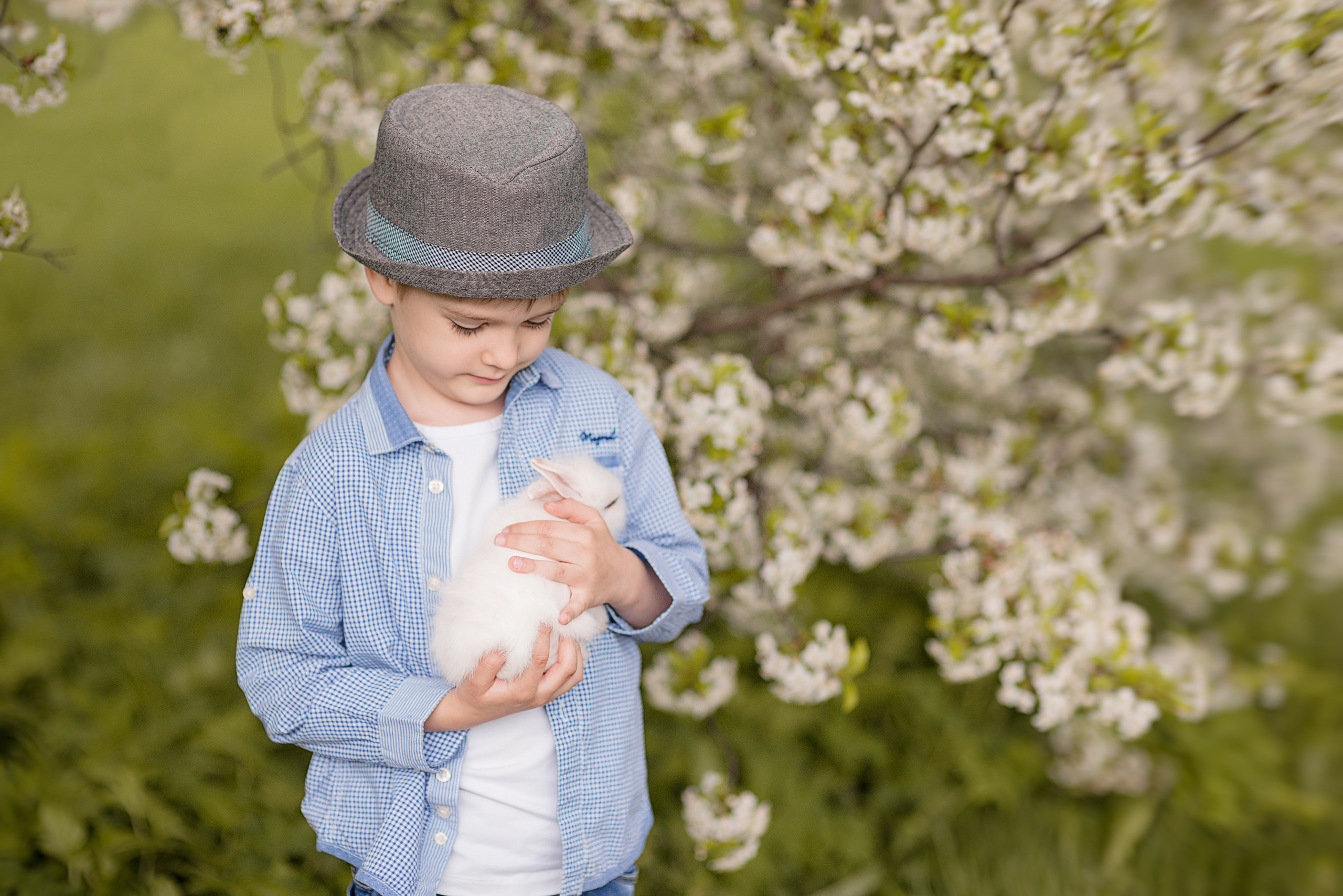 Цветущие сады. Фотограф Москва — Серпухов — Таруса Ольга Кокеткина