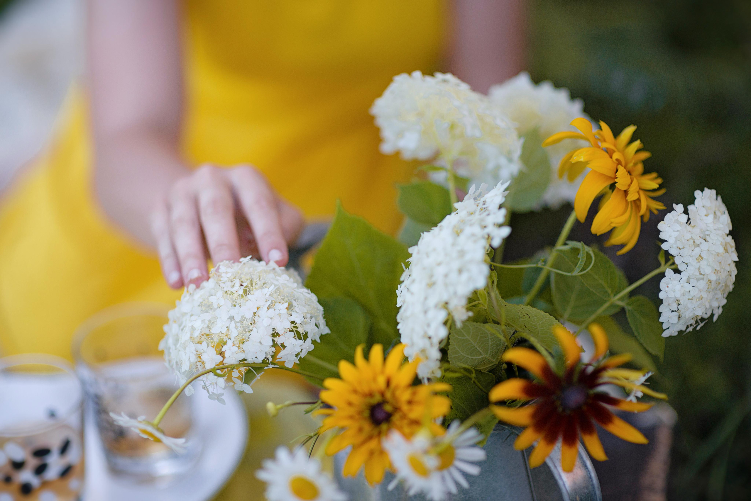 Пикник с желтым арбузом. Фотограф Москва — Серпухов — Таруса Ольга Кокеткина
