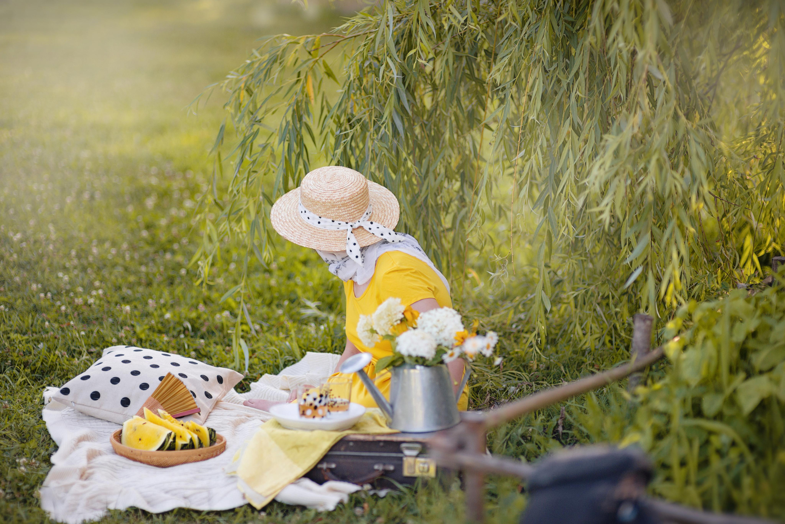 Пикник с желтым арбузом. Фотограф Москва — Серпухов — Таруса Ольга Кокеткина