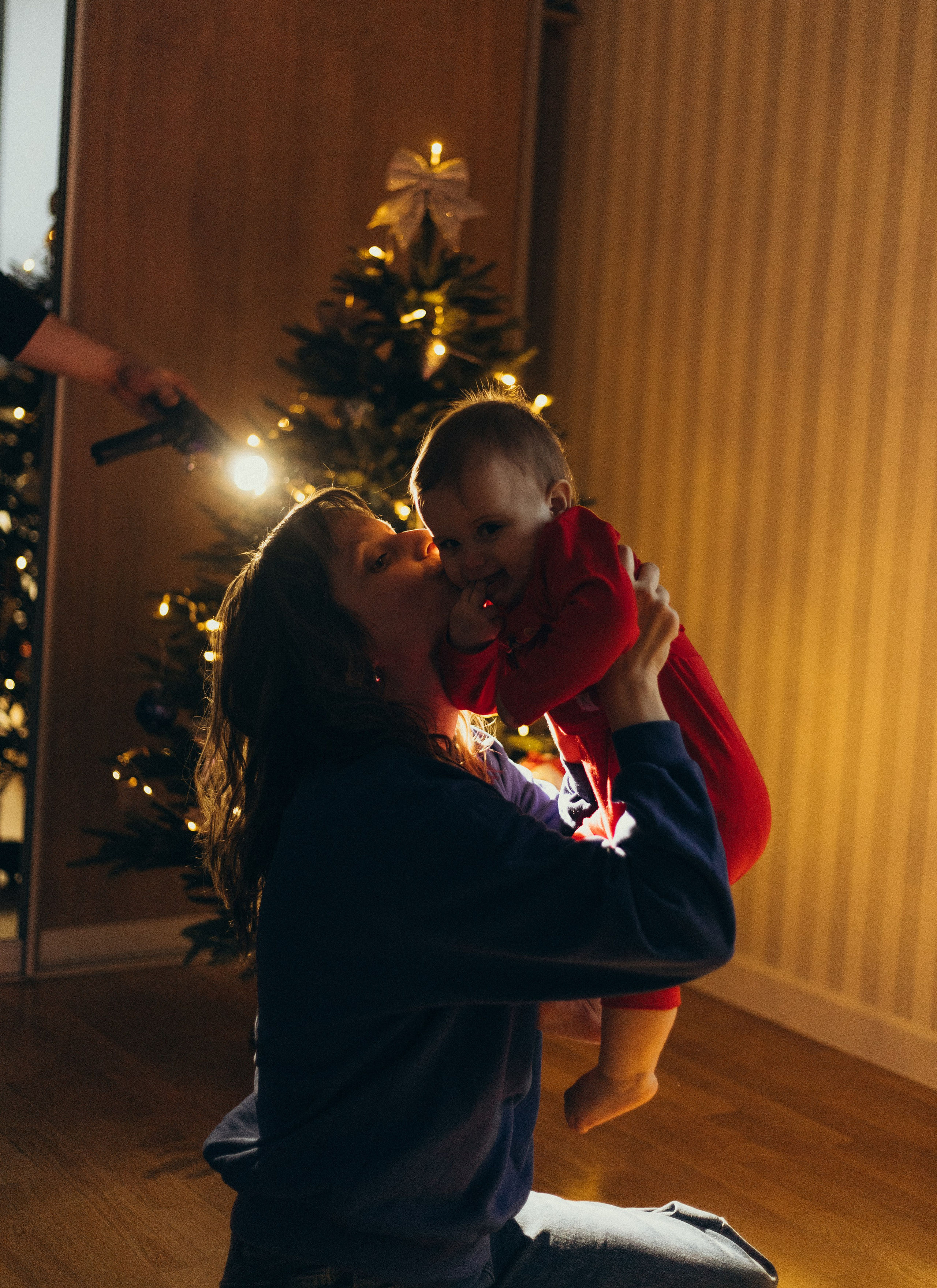 Домашняя история. Meryfotoidea