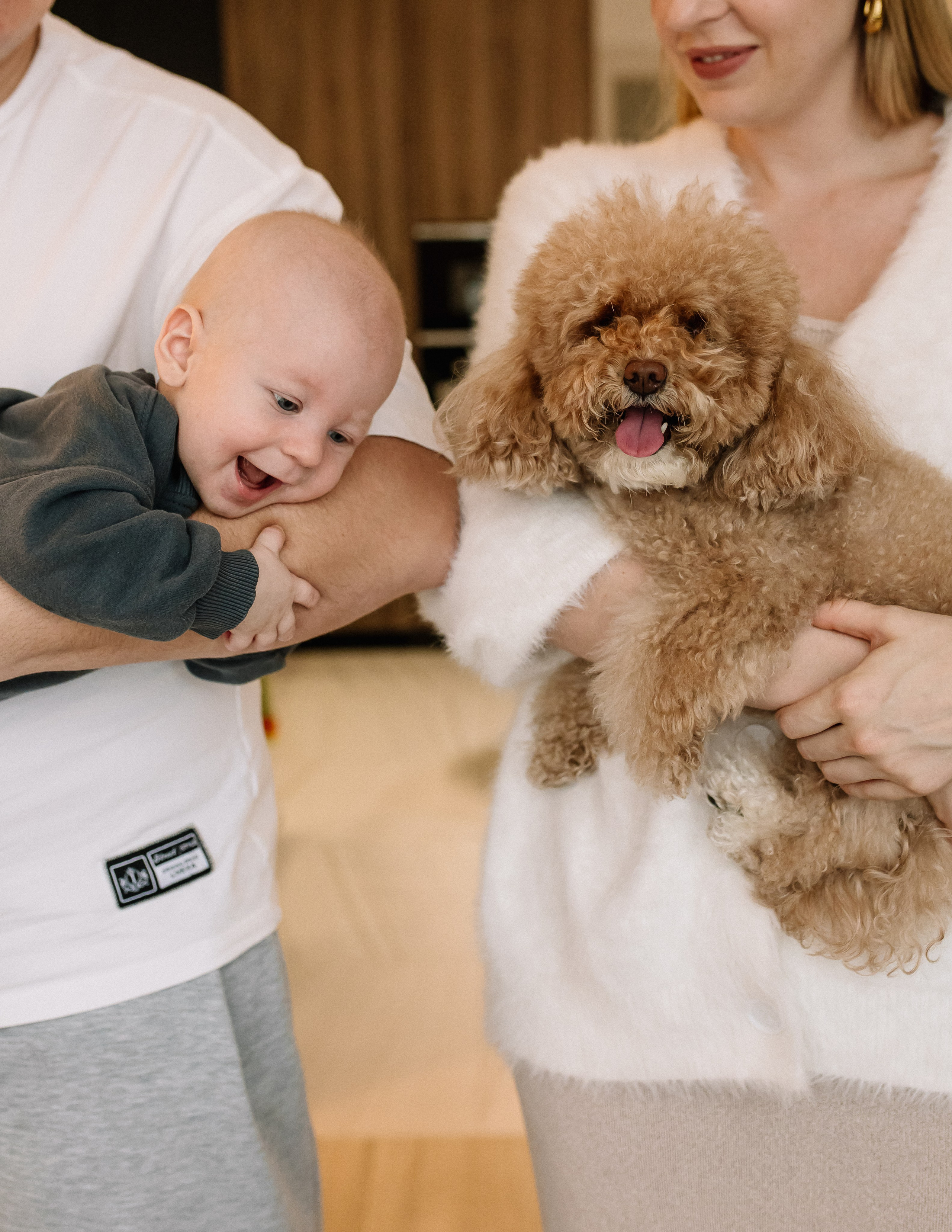 Домашняя история. Meryfotoidea