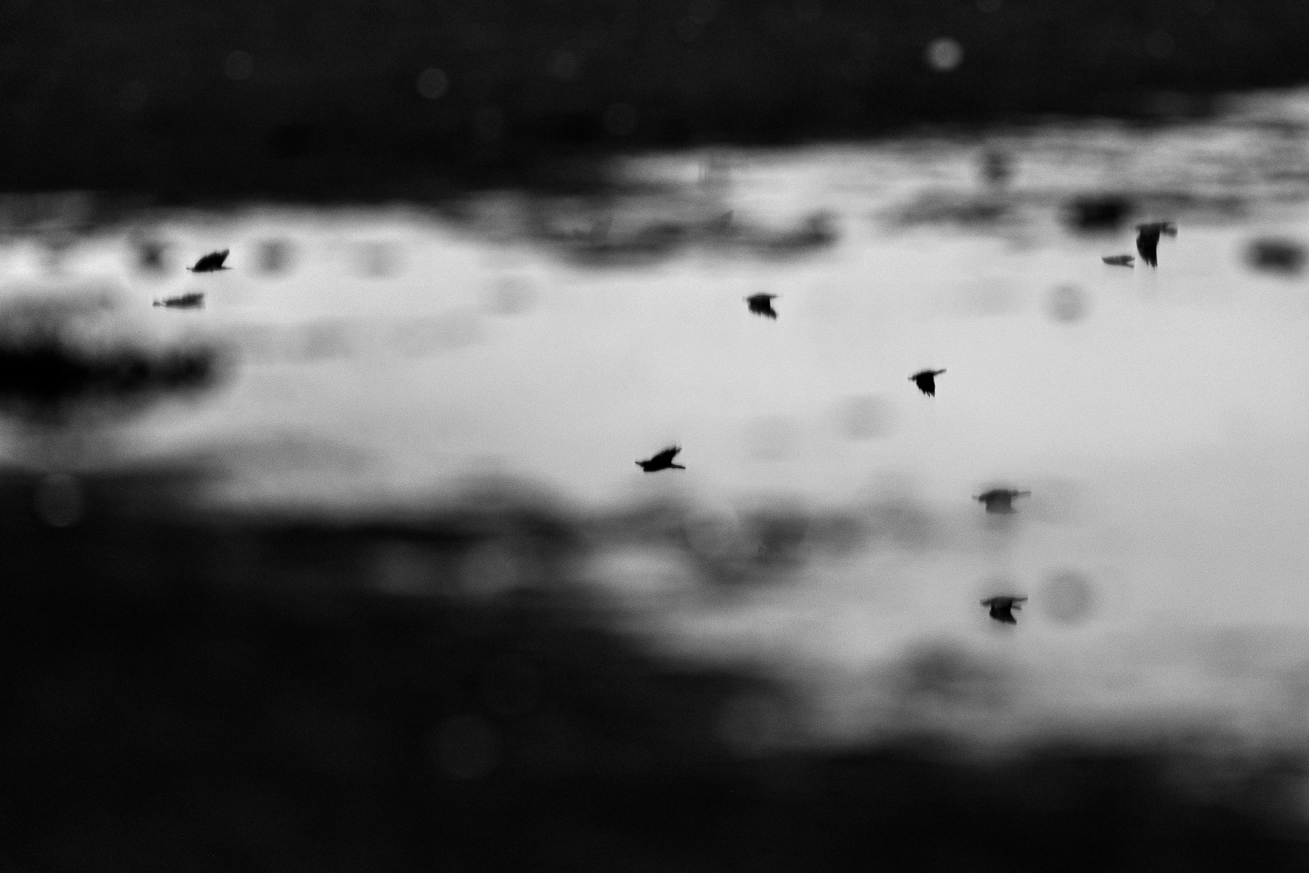 Фотографии Лены Соколовой