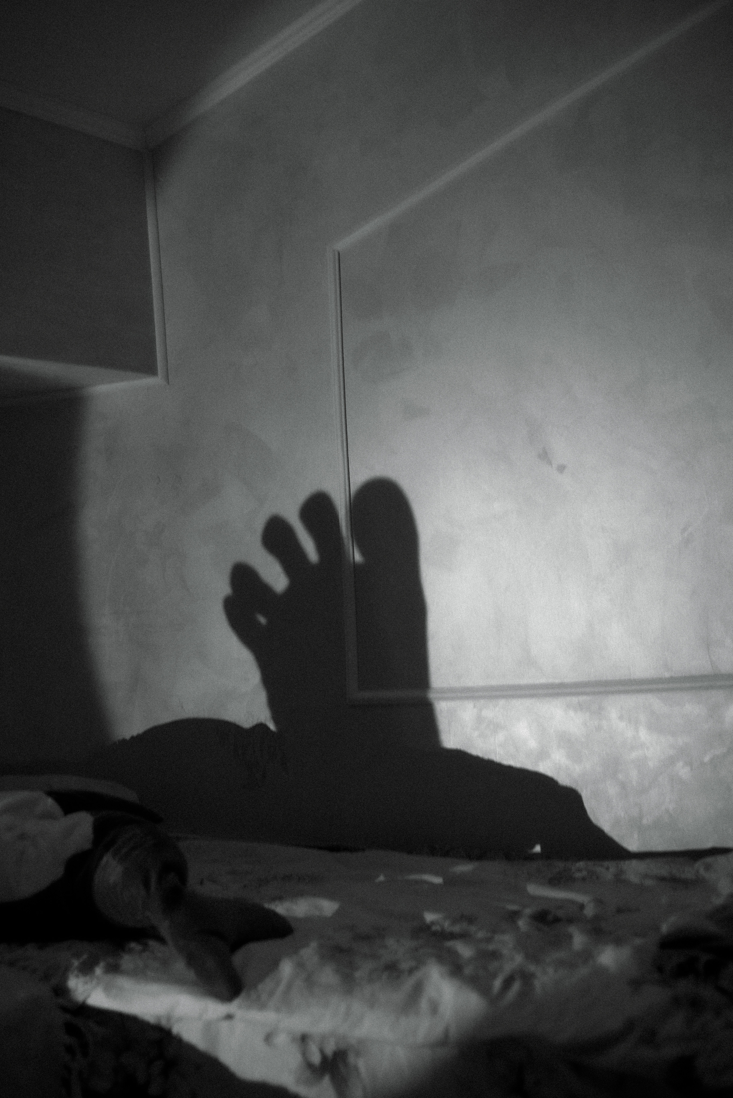 Настя, Надя, Тася. Дома весело. Фотограф Виктория Чокадзе