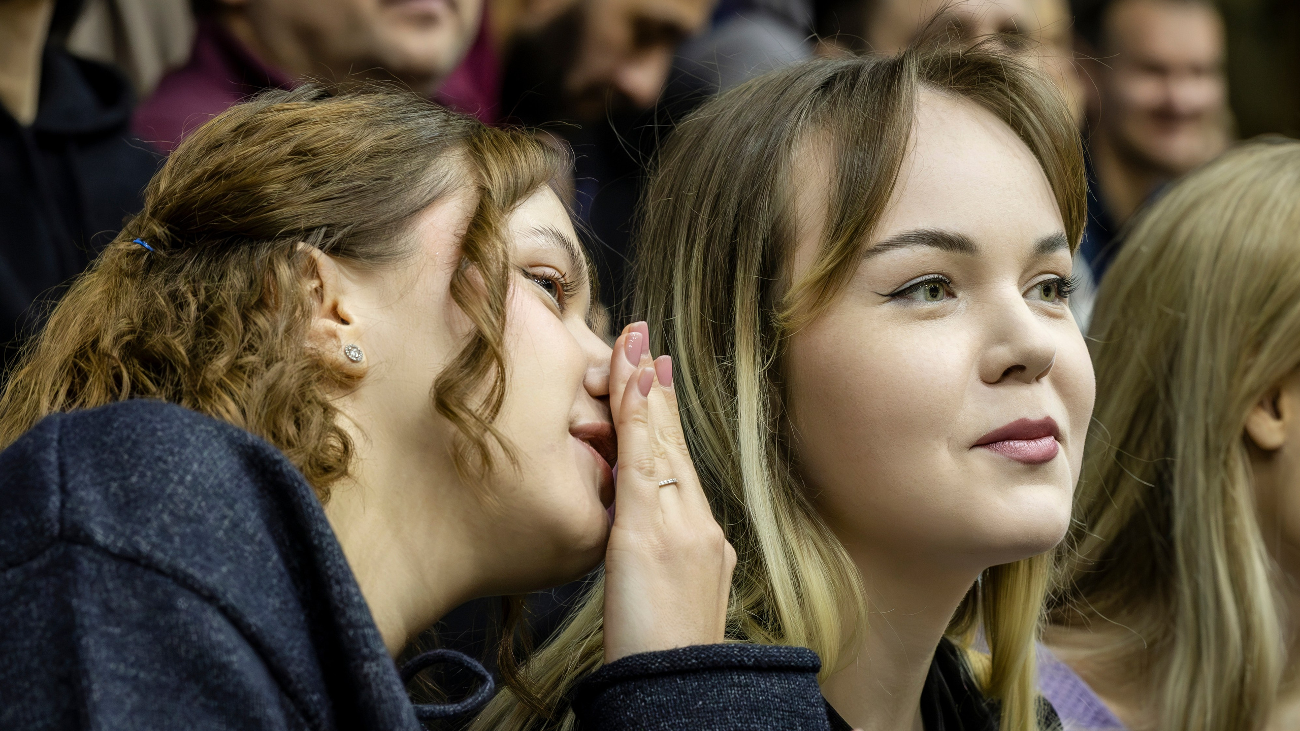 БК Новосибирск. Bertran Ordo