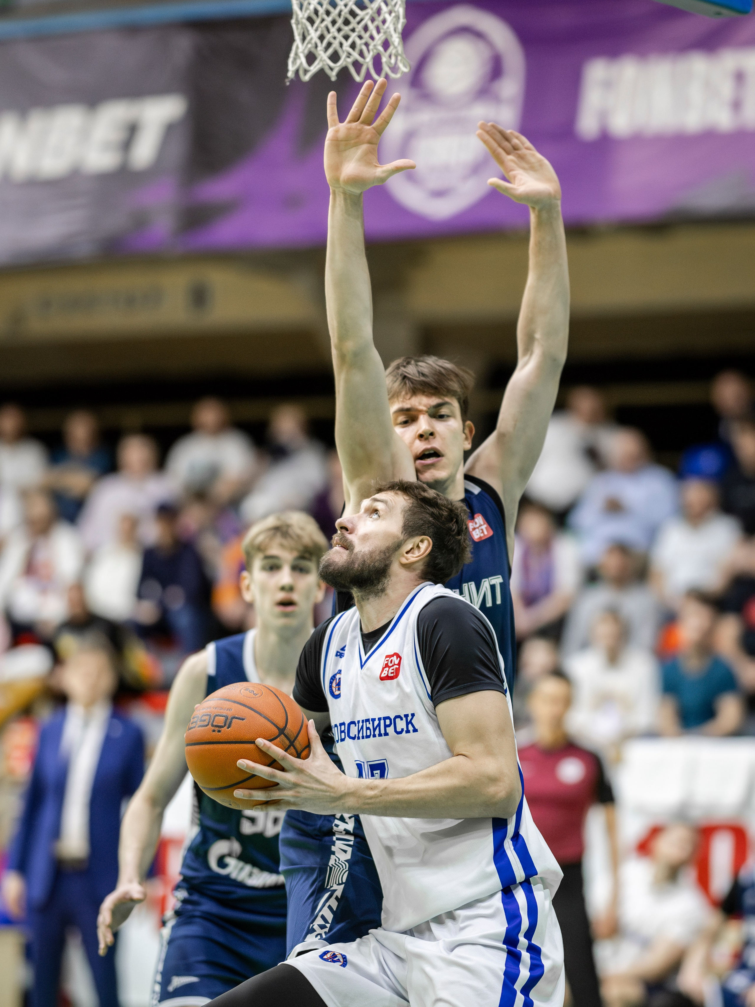 БК Новосибирск. Bertran Ordo