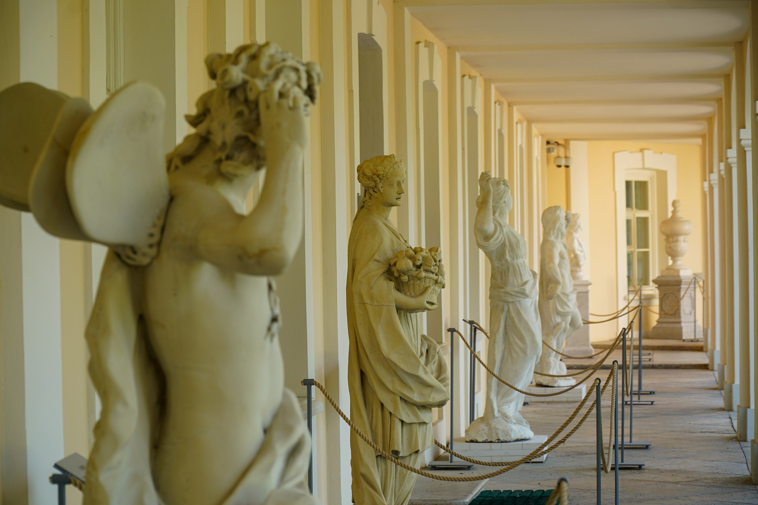 ОРАНИЕНБАУМ. Июль 2024. Фотограф Наталья Погодина в г. Обнинске