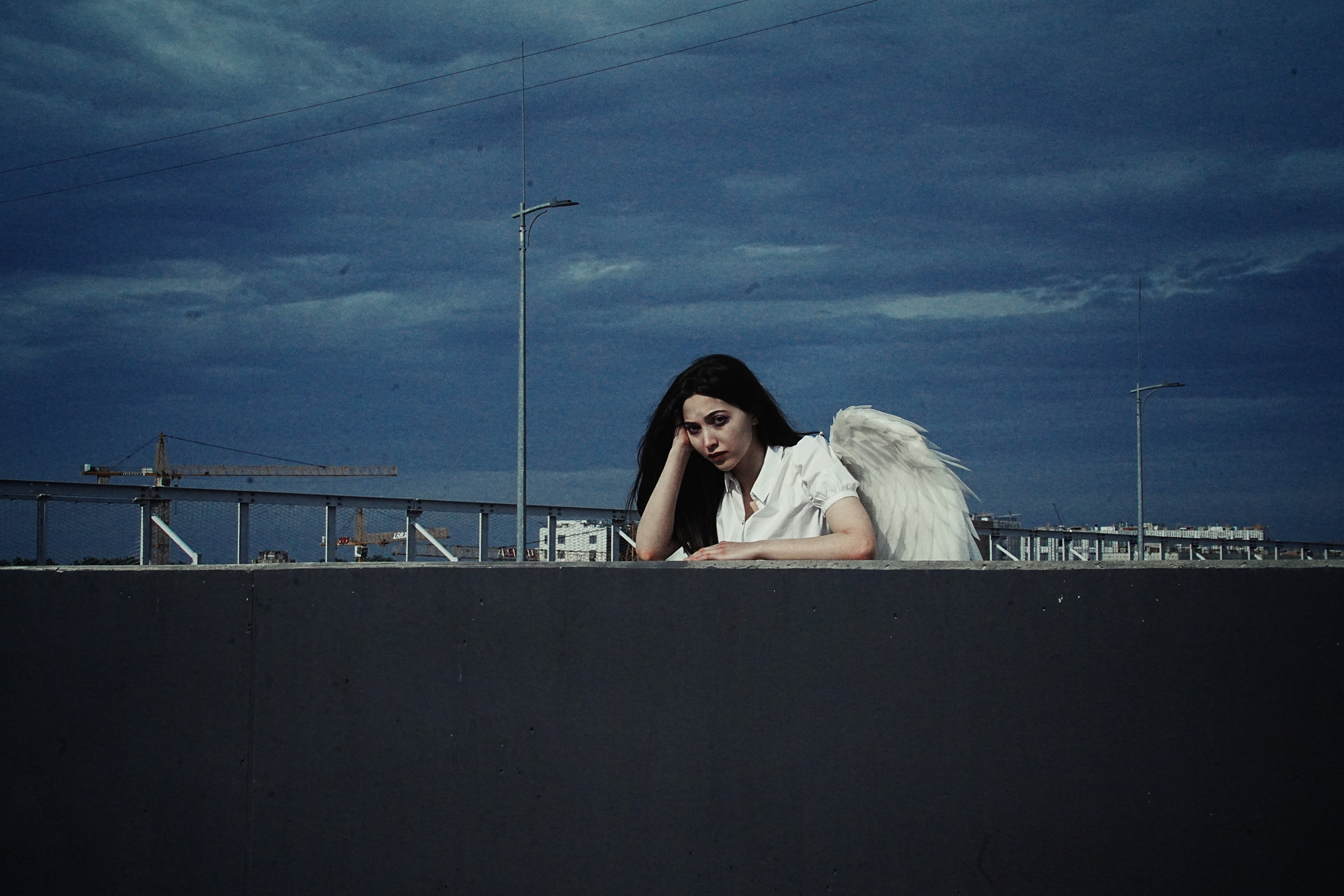 ПАДШИЙ АНГЕЛ. VetkasART