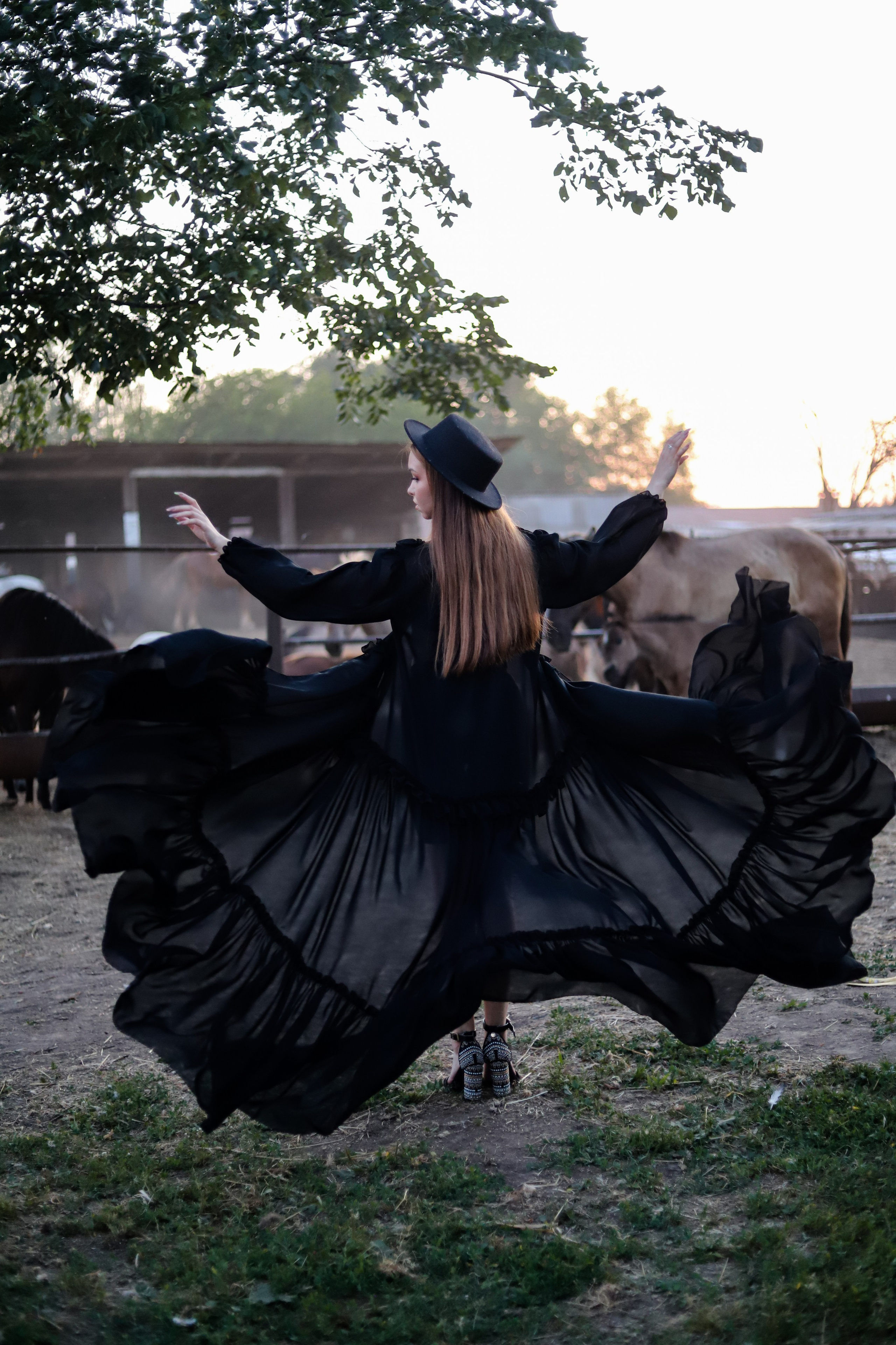 Овечки 08.08. Главная