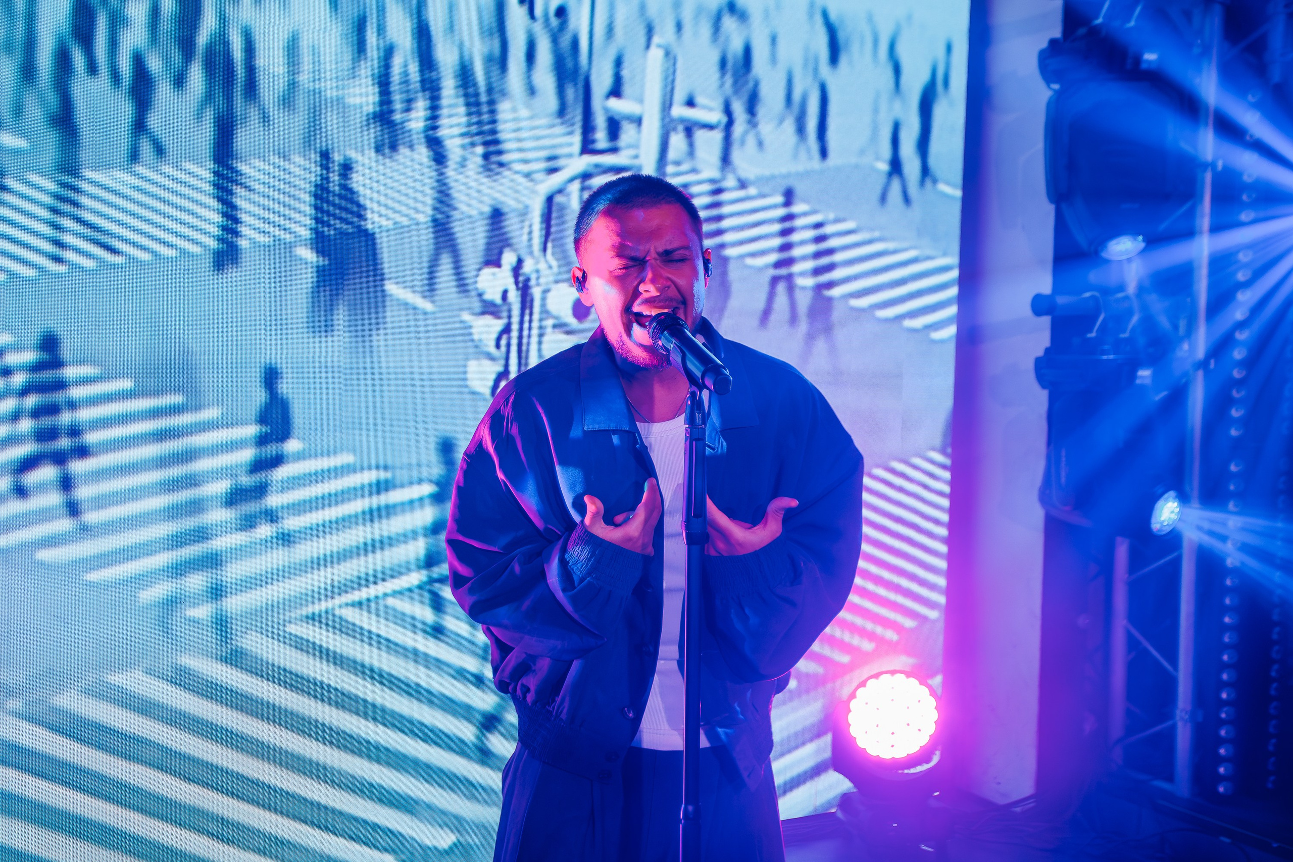 «LYRIQ"_Чайка на пляже_Ялта_15.08.2025 г. Аминов Руслан | Фотограф