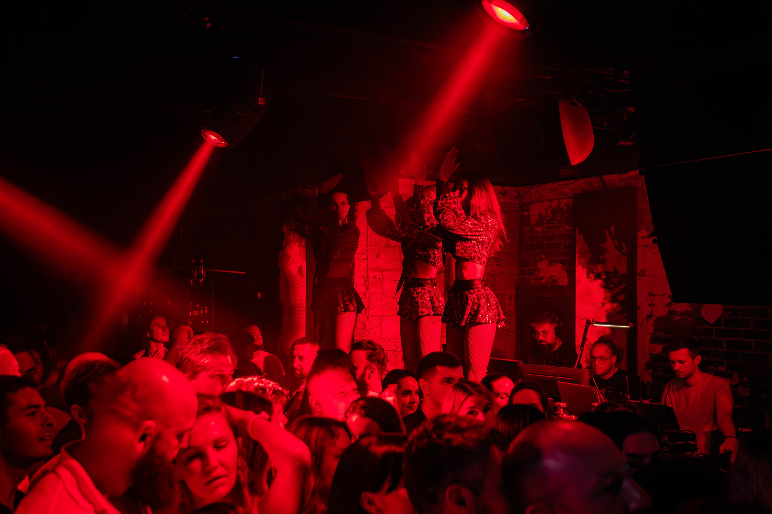 «Джиган"_Чайка на пляже_Ялта_12.07.2025 г. Аминов Руслан | Фотограф