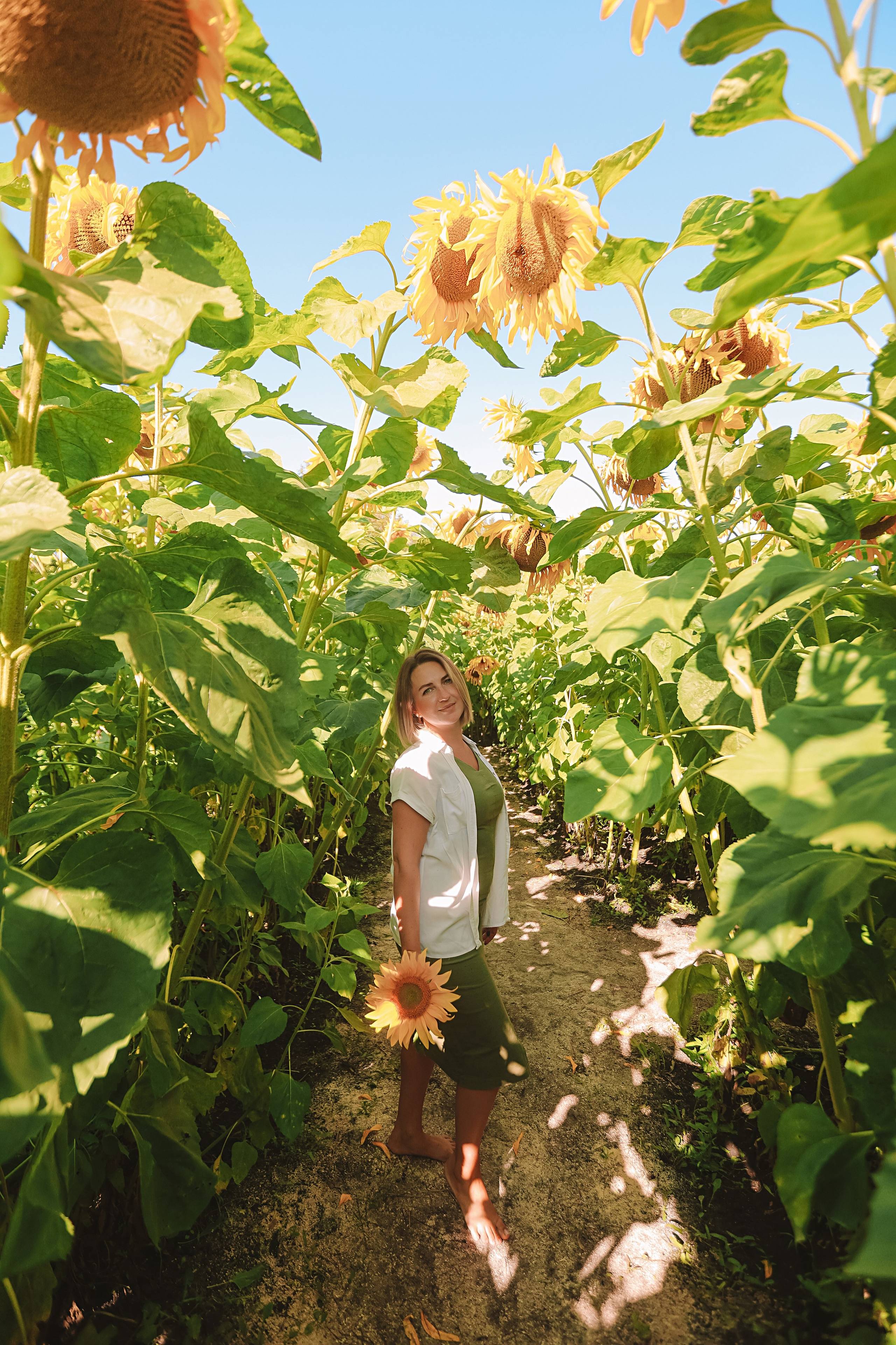 Подсолнухи. Семейный фотограф Тюмень, фотограф на роды Салмина Мария