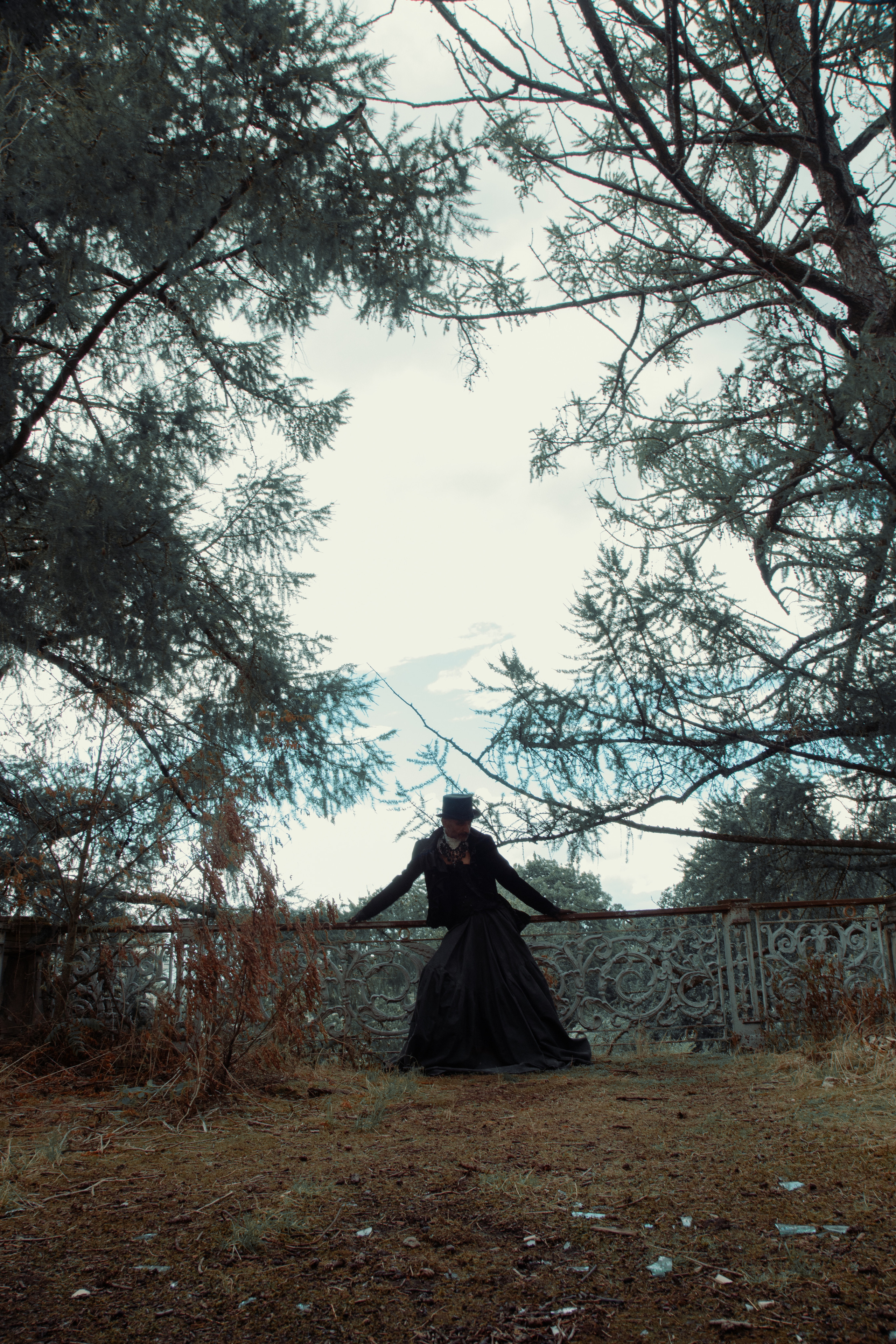 Король драмы в старином особняке. Креатор Ольга Яш