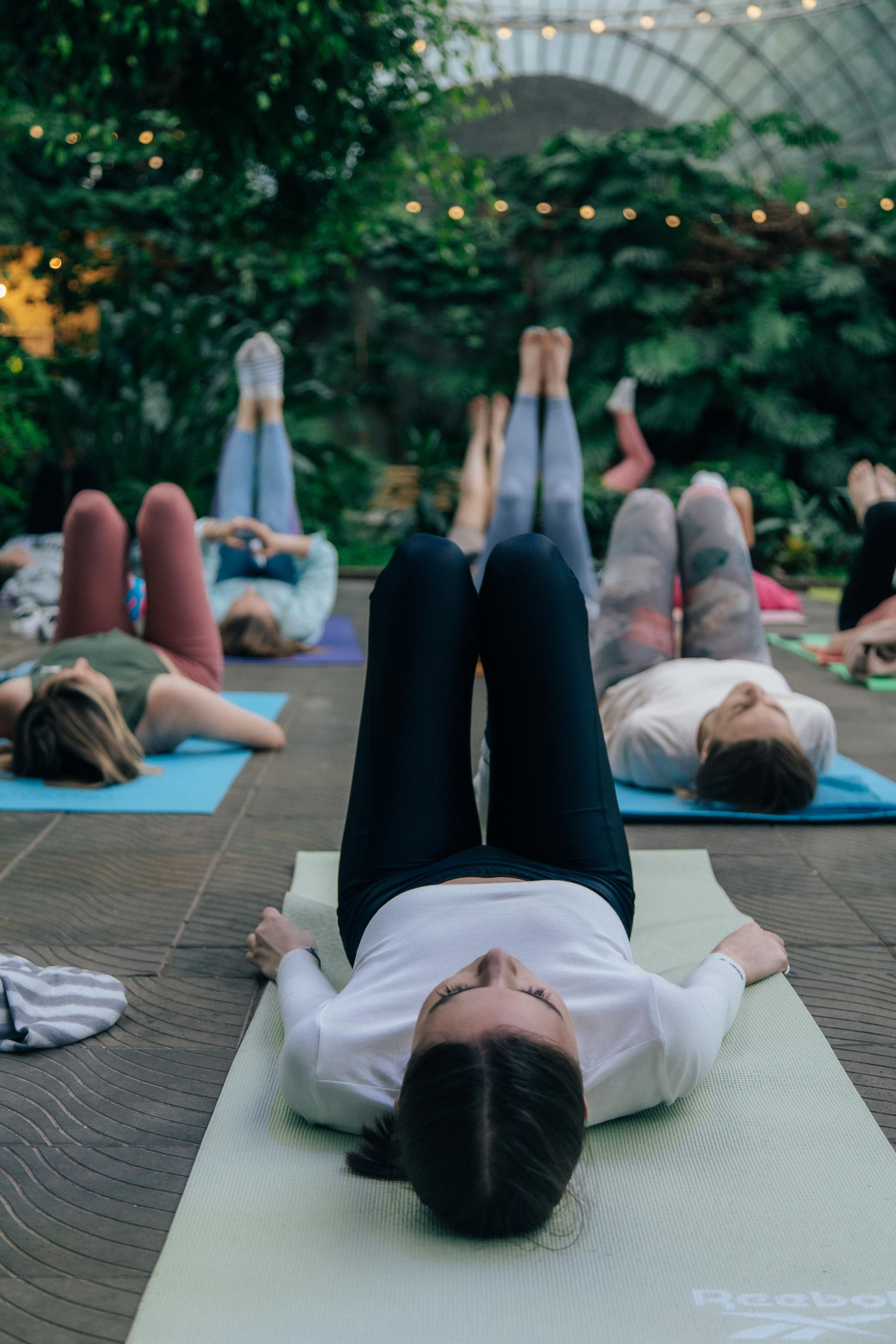 Йога в Оранжерее. Креатор Ольга Яш