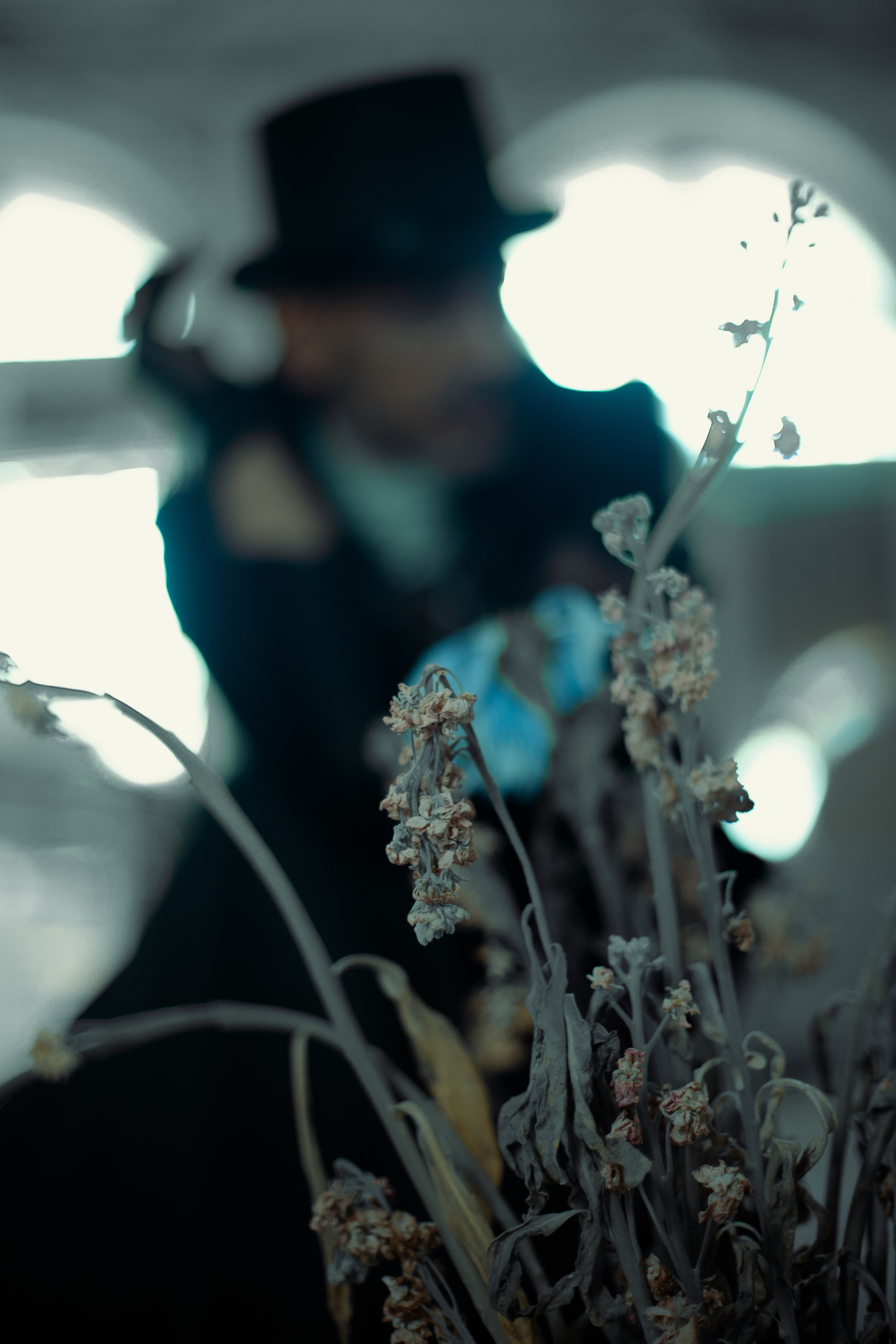 Король драмы в старином особняке. Креатор Ольга Яш