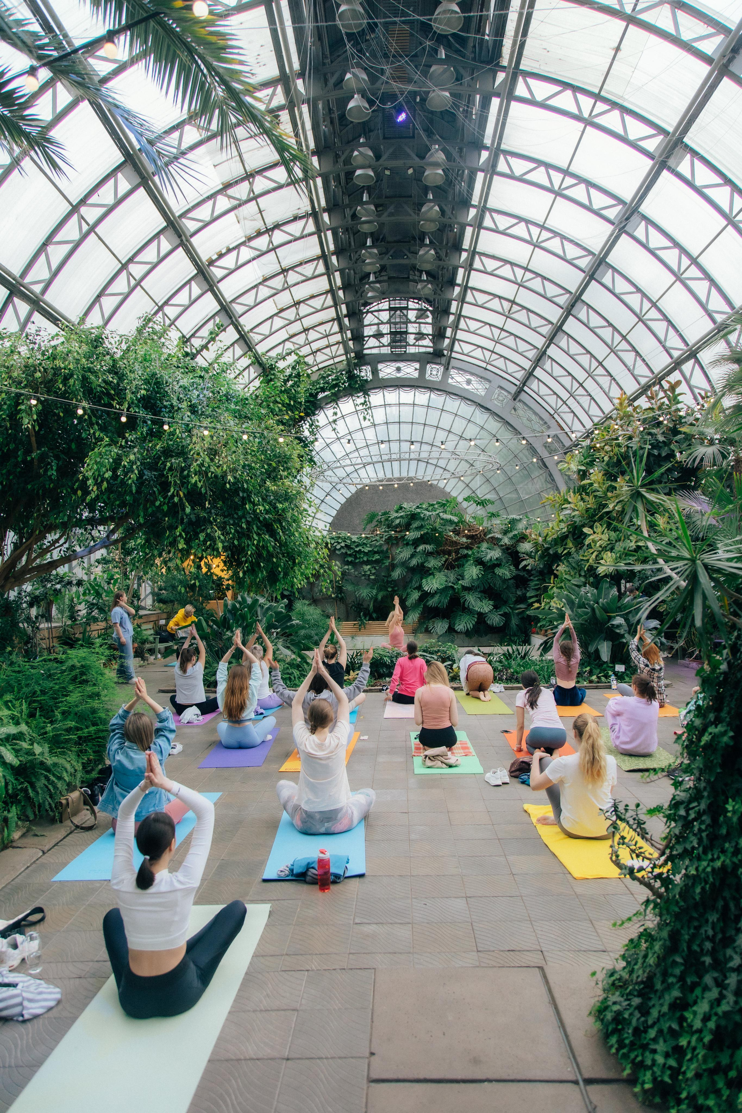 Йога в Оранжерее. Креатор Ольга Яш