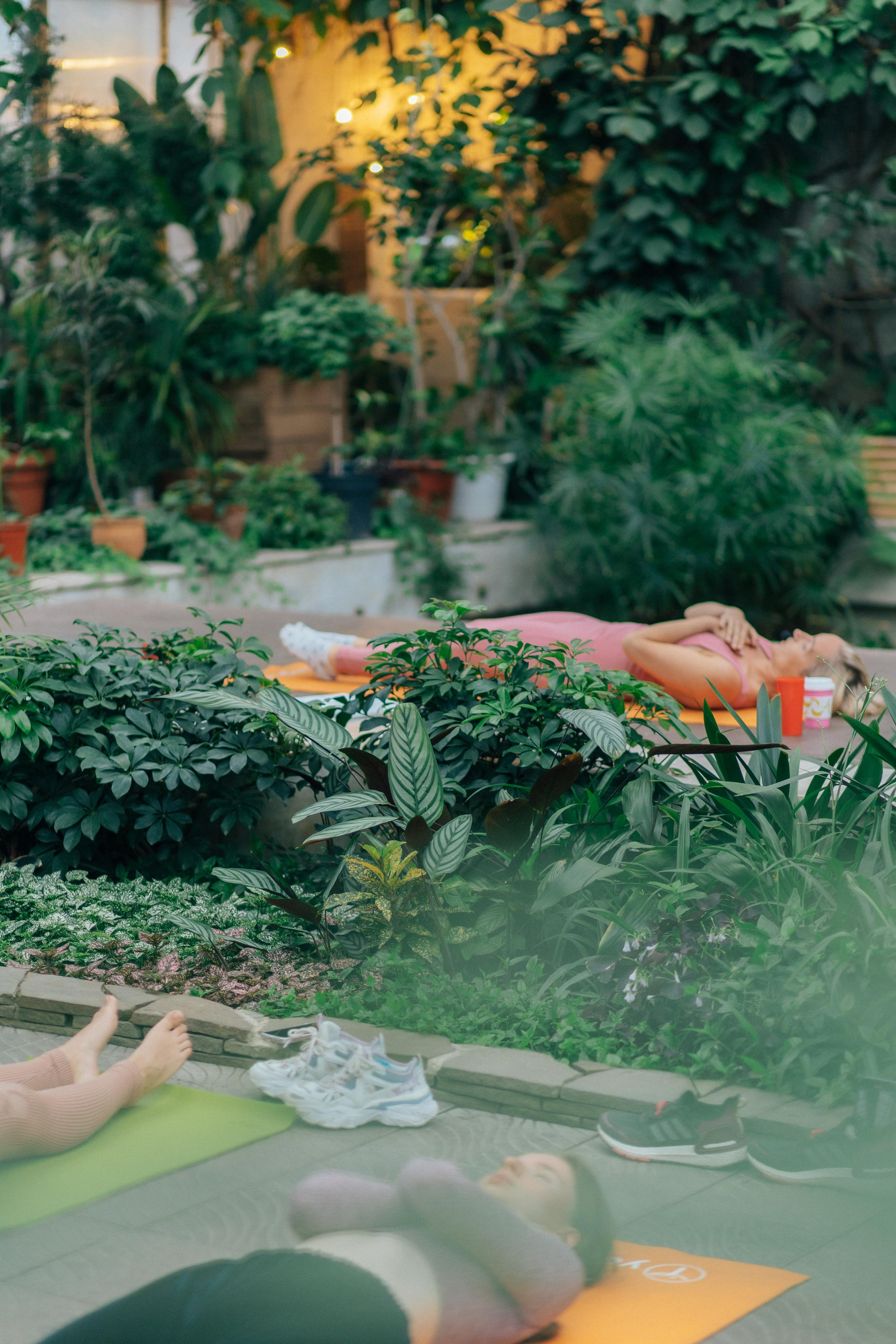 Йога в Оранжерее. Креатор Ольга Яш