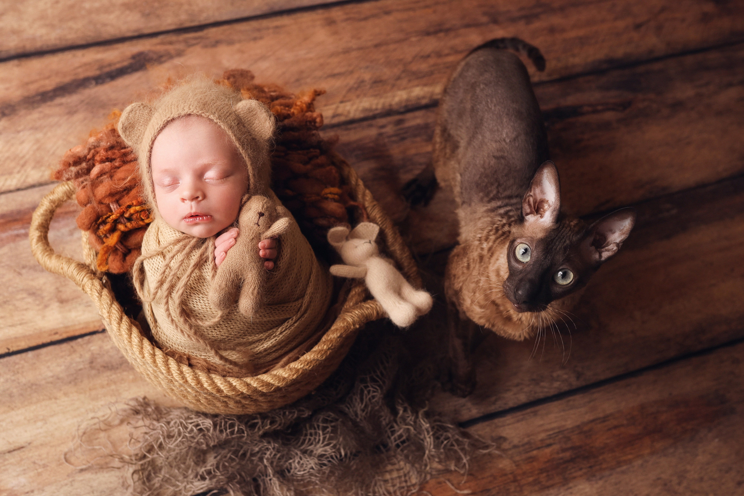 Новорожденные. Семейный фотограф и фотограф новорожденных в Санкт-Петербурге Алевтина