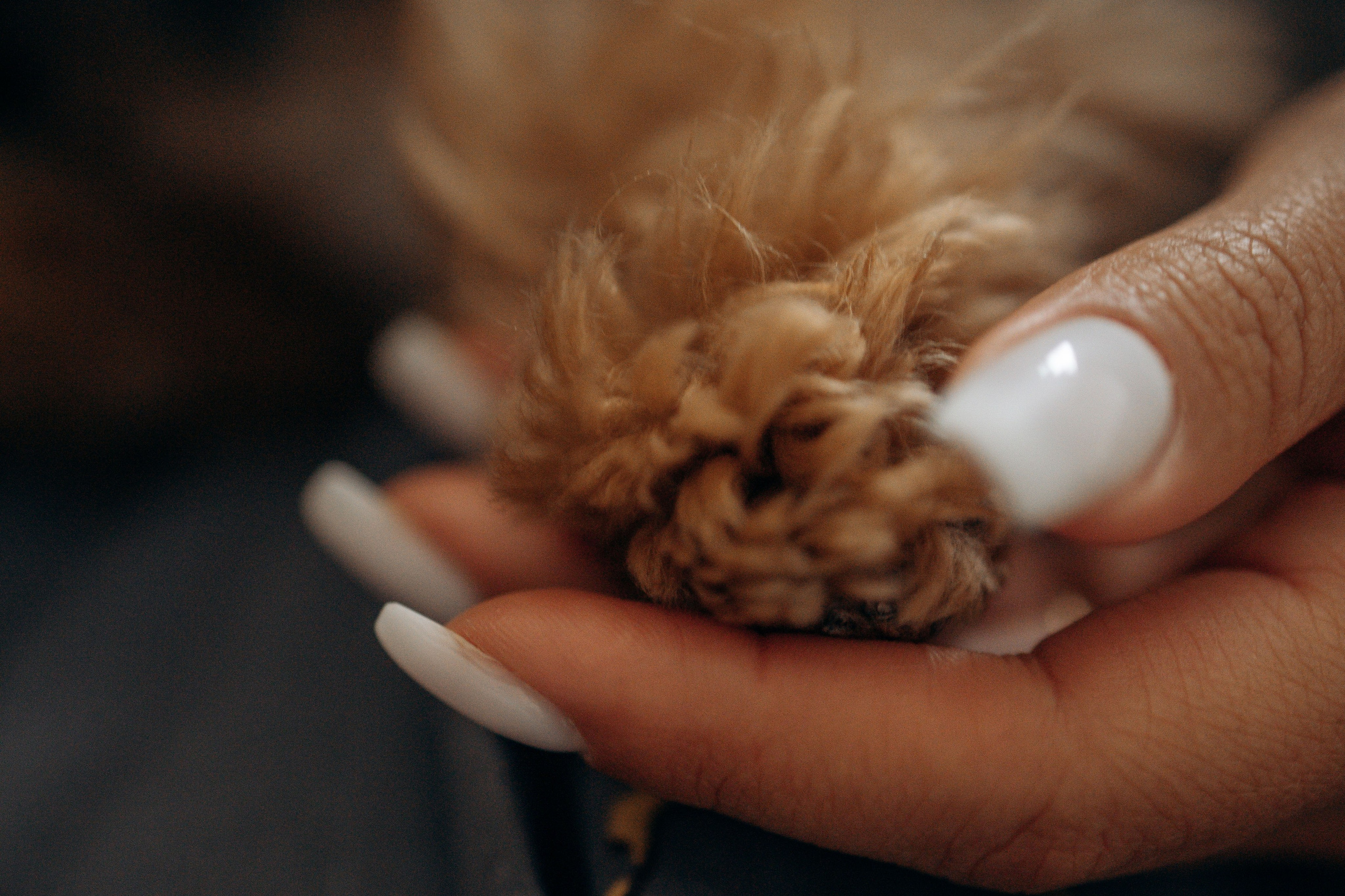 Настя и Йося