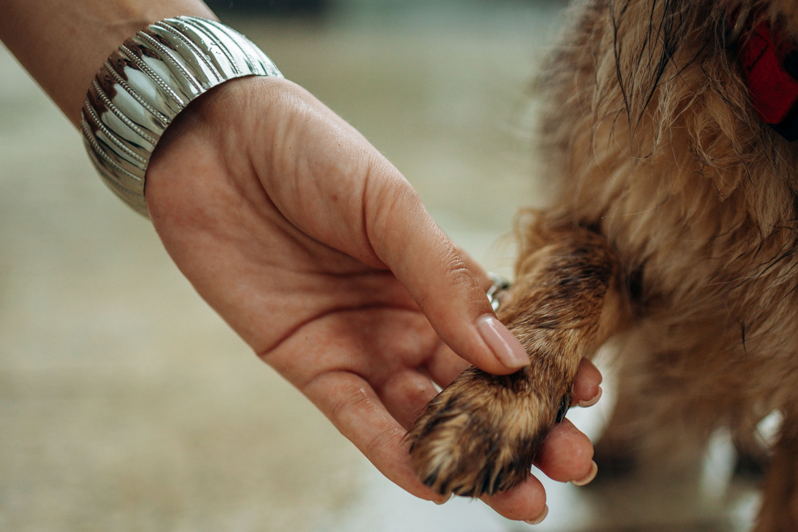 Дарья и Ассоль