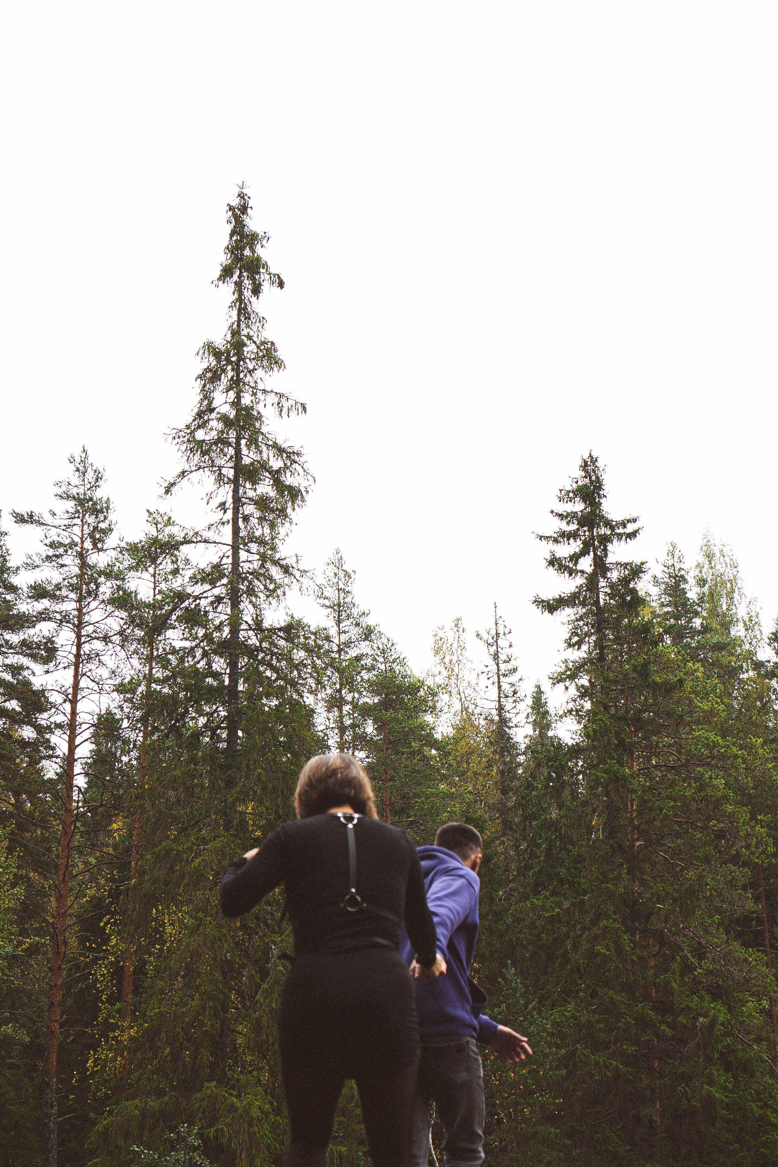Прогулка на природе. Профессиональный фотограф, Санкт-Петербург — Виктория Богомолова
