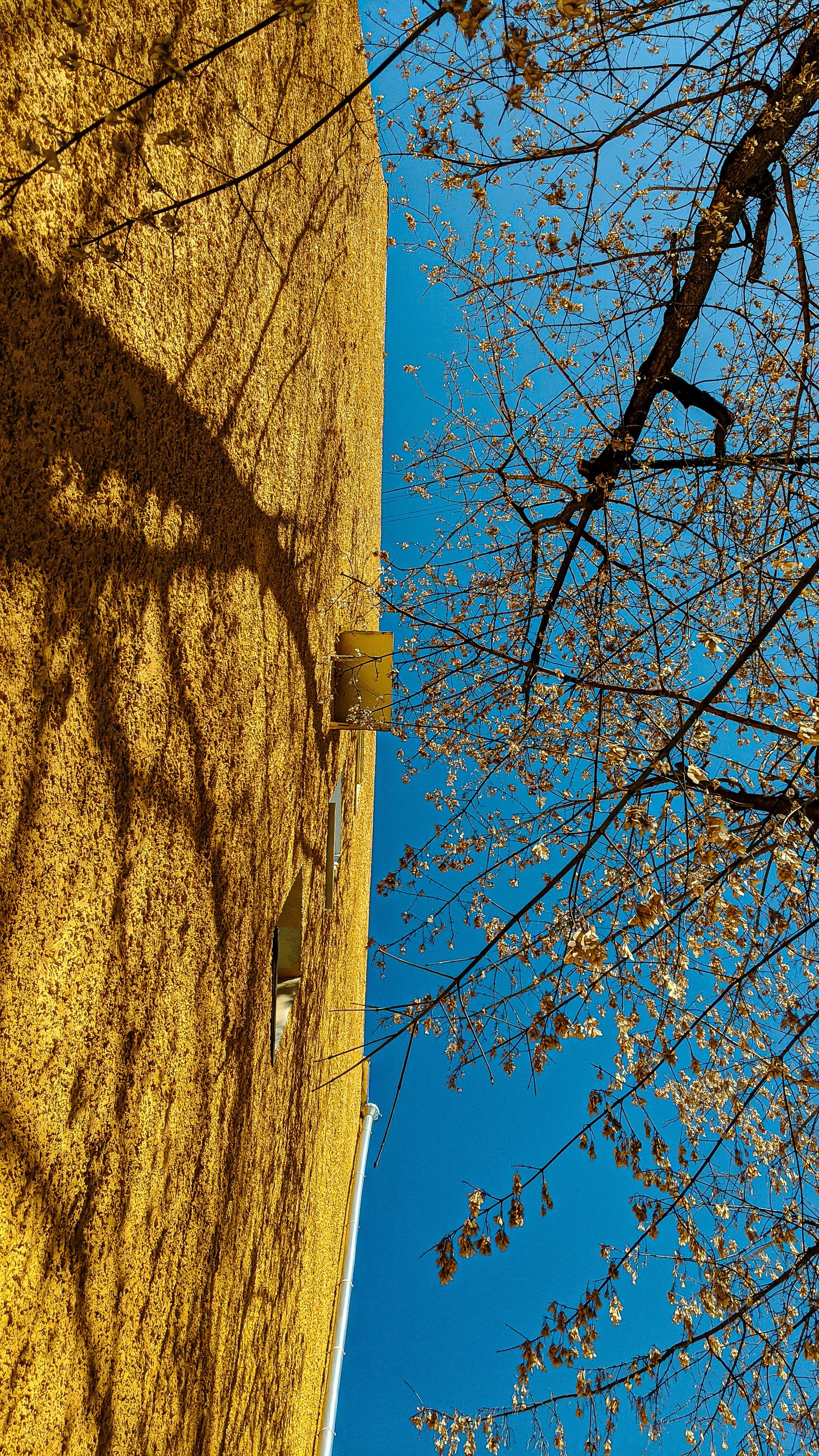 Мобильная фотография. Интерьерный и портретный фотограф в Москве Анна Моногарова