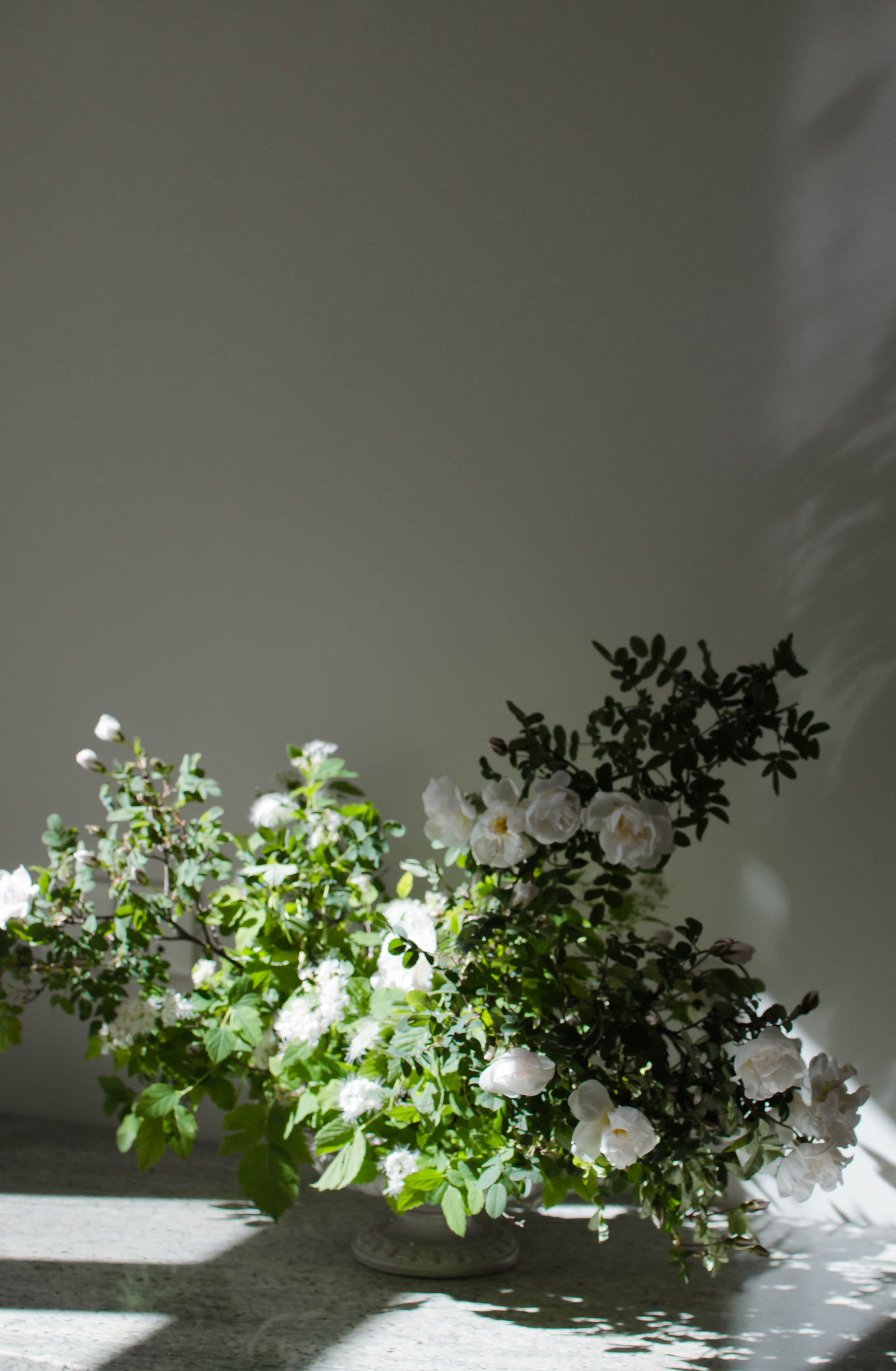 Сва. Флористика и декор в Санкт-Петербурге