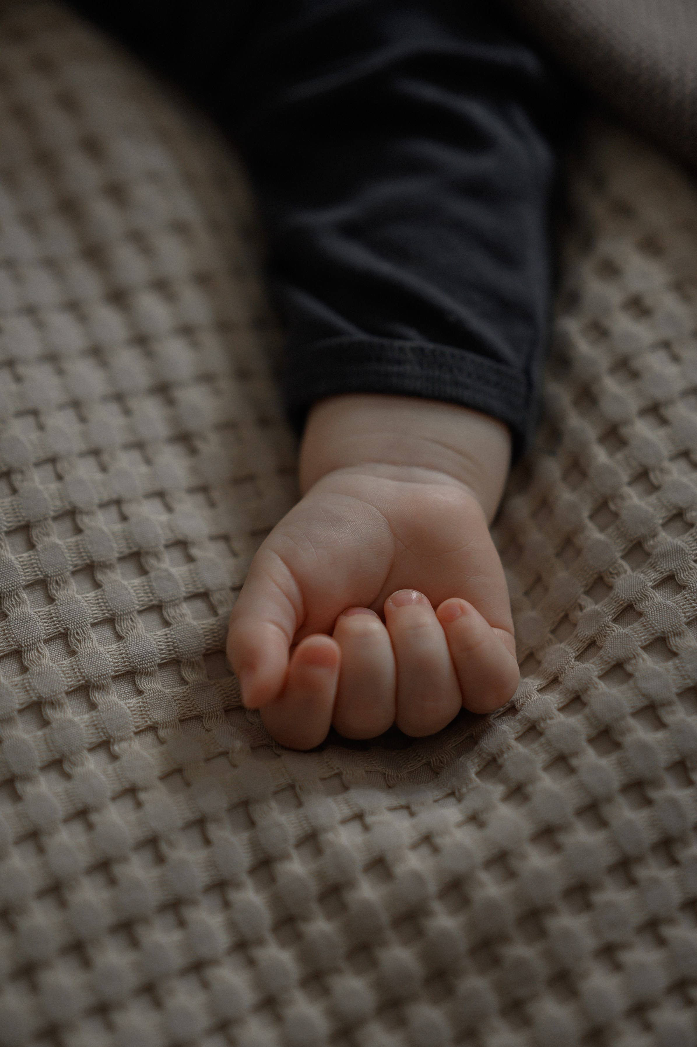 Настя, Юра, Лев, Феликс. Www.ostermiller.ru