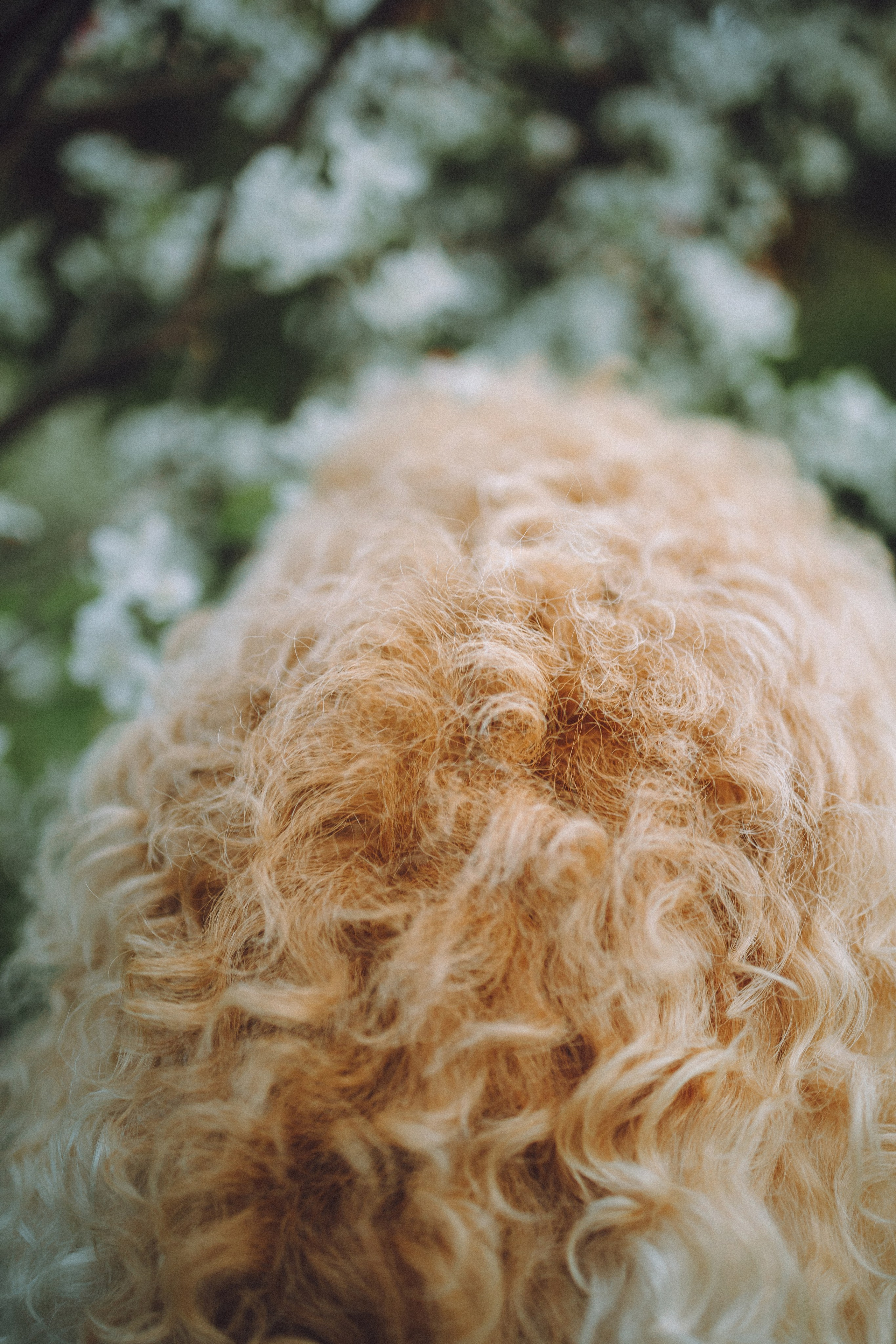 Илай, Зайка и их семья