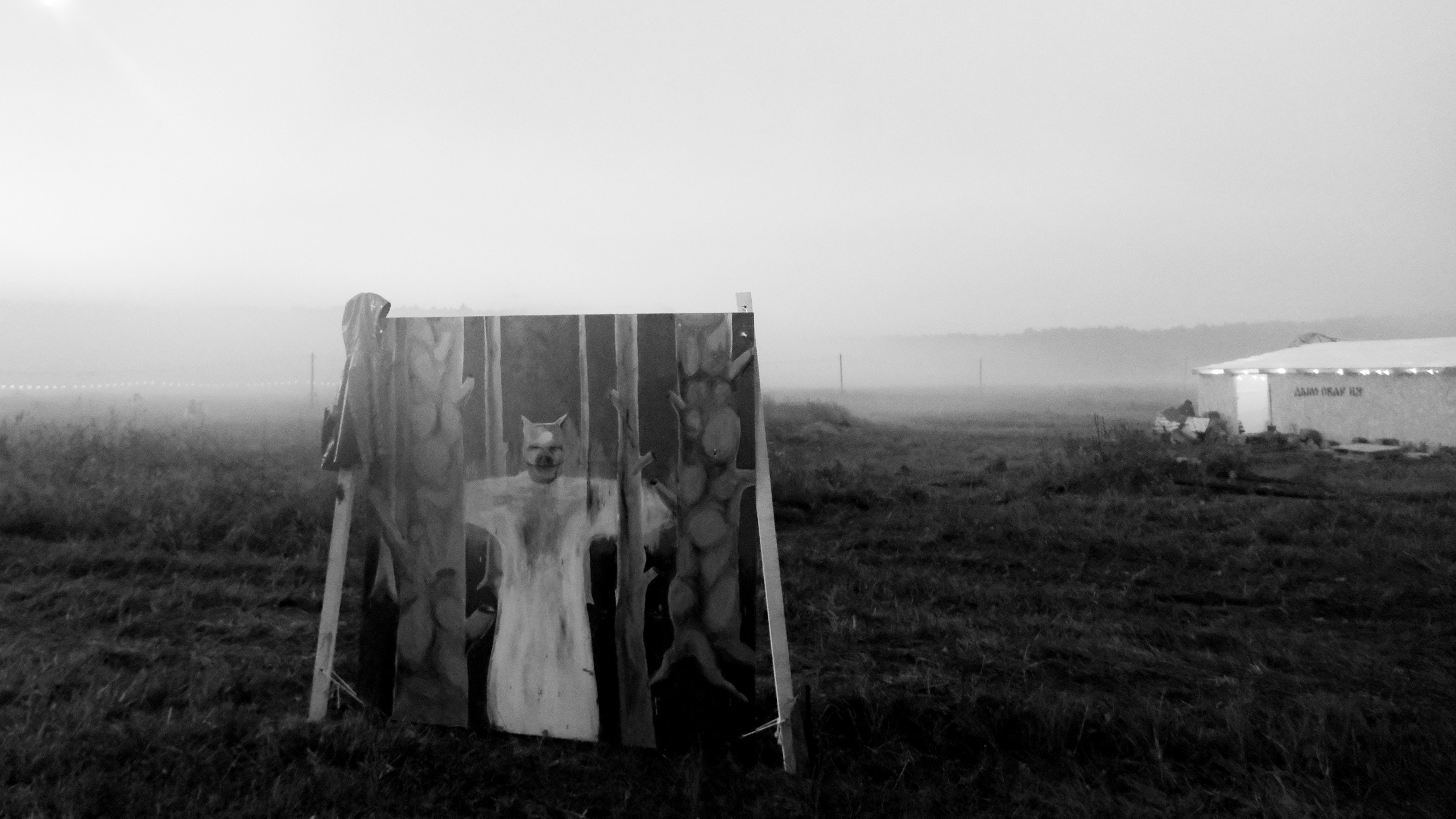 Insomnia2024. Фотограф и видеограф Апокина Мария Москва