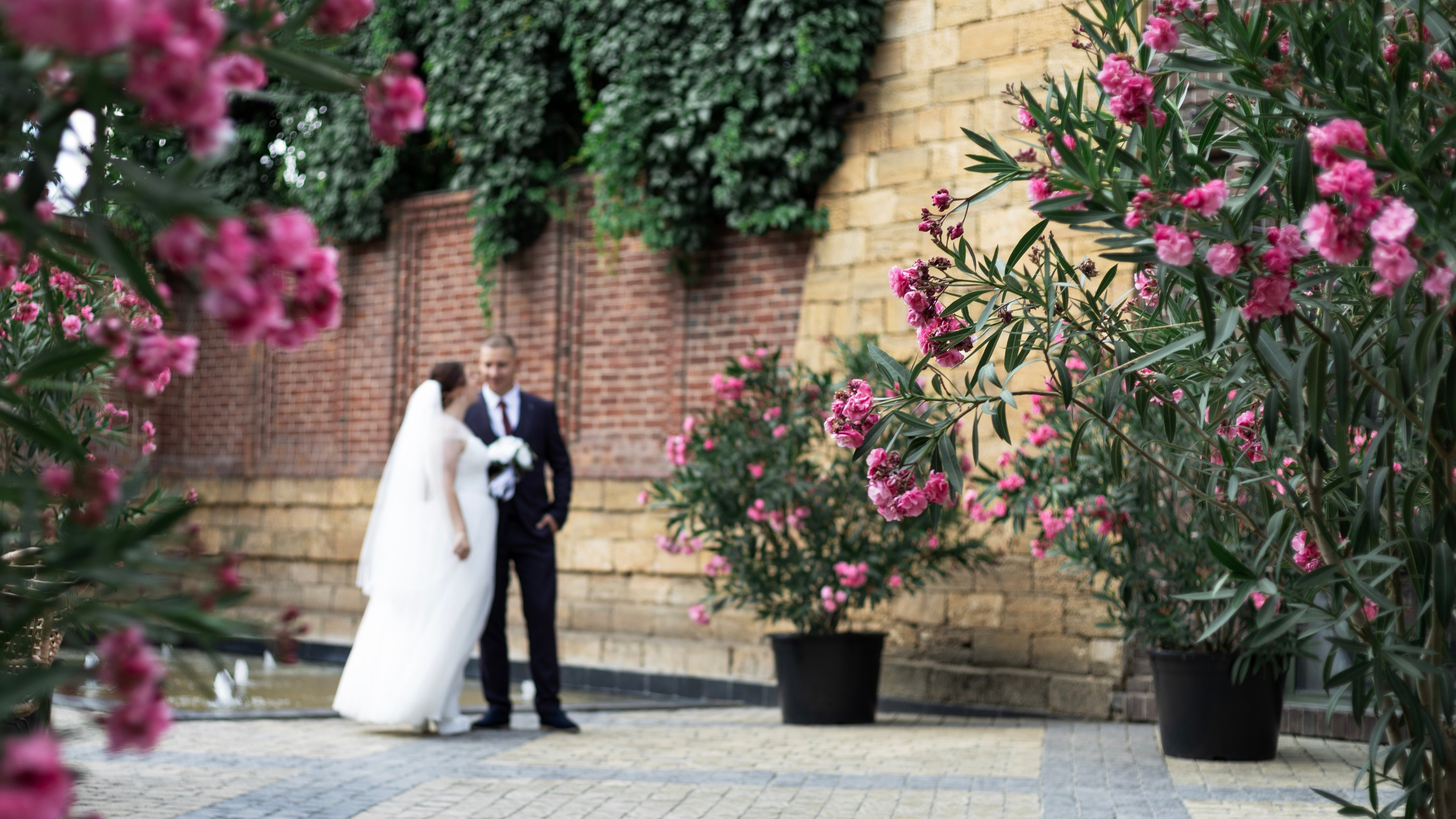 Фотограф, Таганрог, Руслан Степущенко