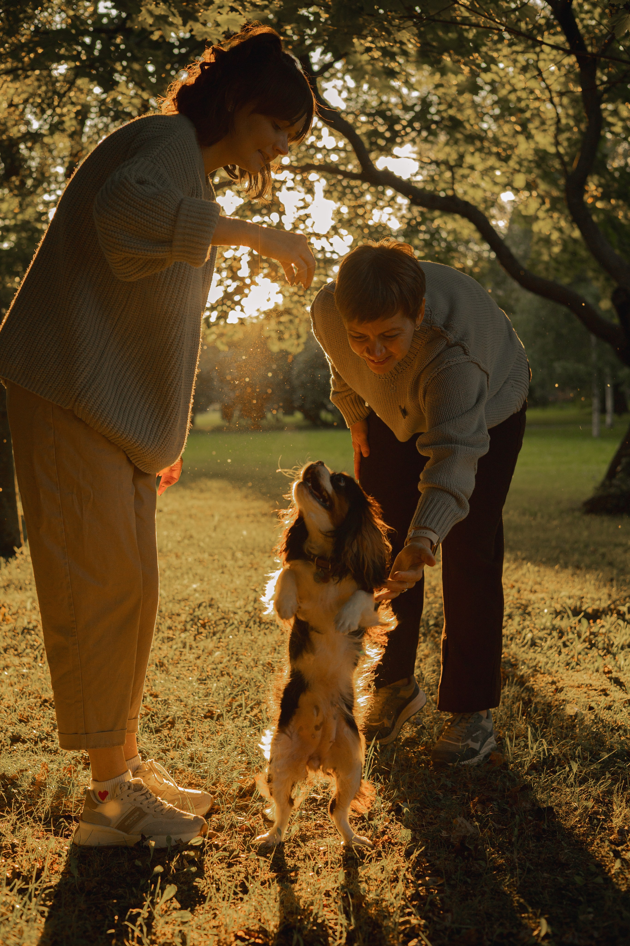 Светлана & Стеша & Настя. Фотограф — анималист •love-story•|Санкт-Петербург
