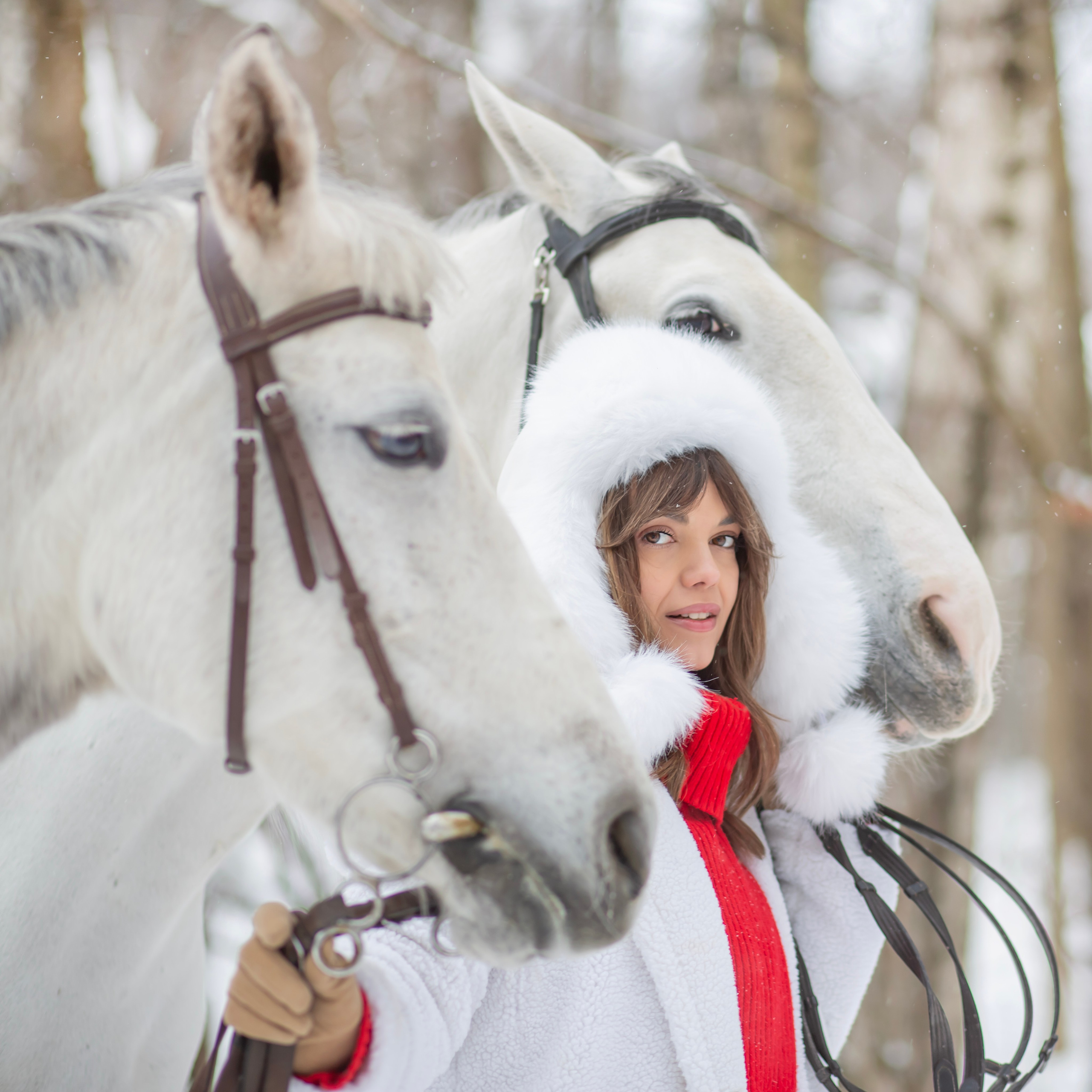 Год лошади. Семейный и детский фотограф в Москве и МО — Александра