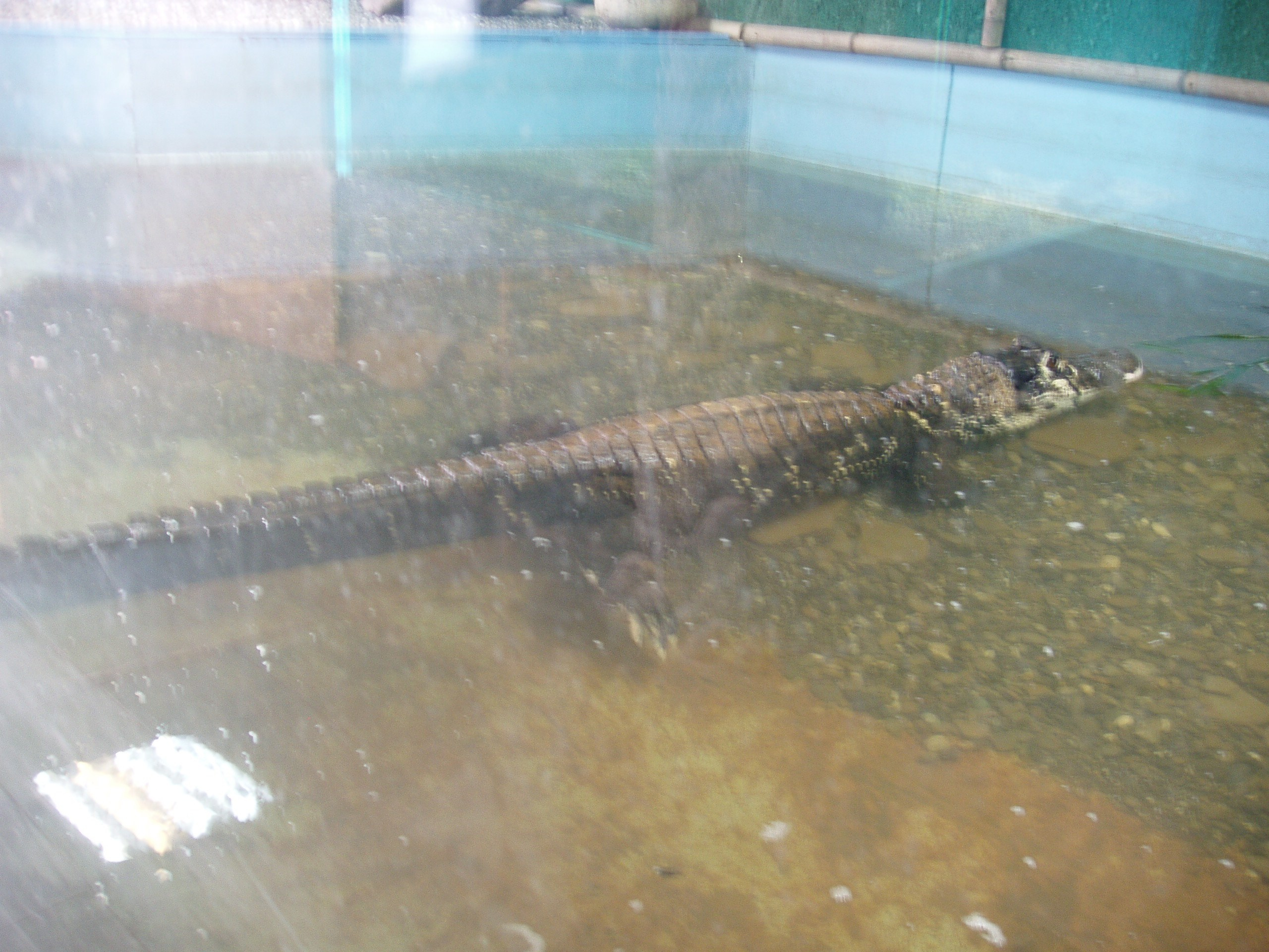 Отпуск 13.07-24.08. Семейный, Свадебный фотограф СПБ Питер— Романова Екатерина