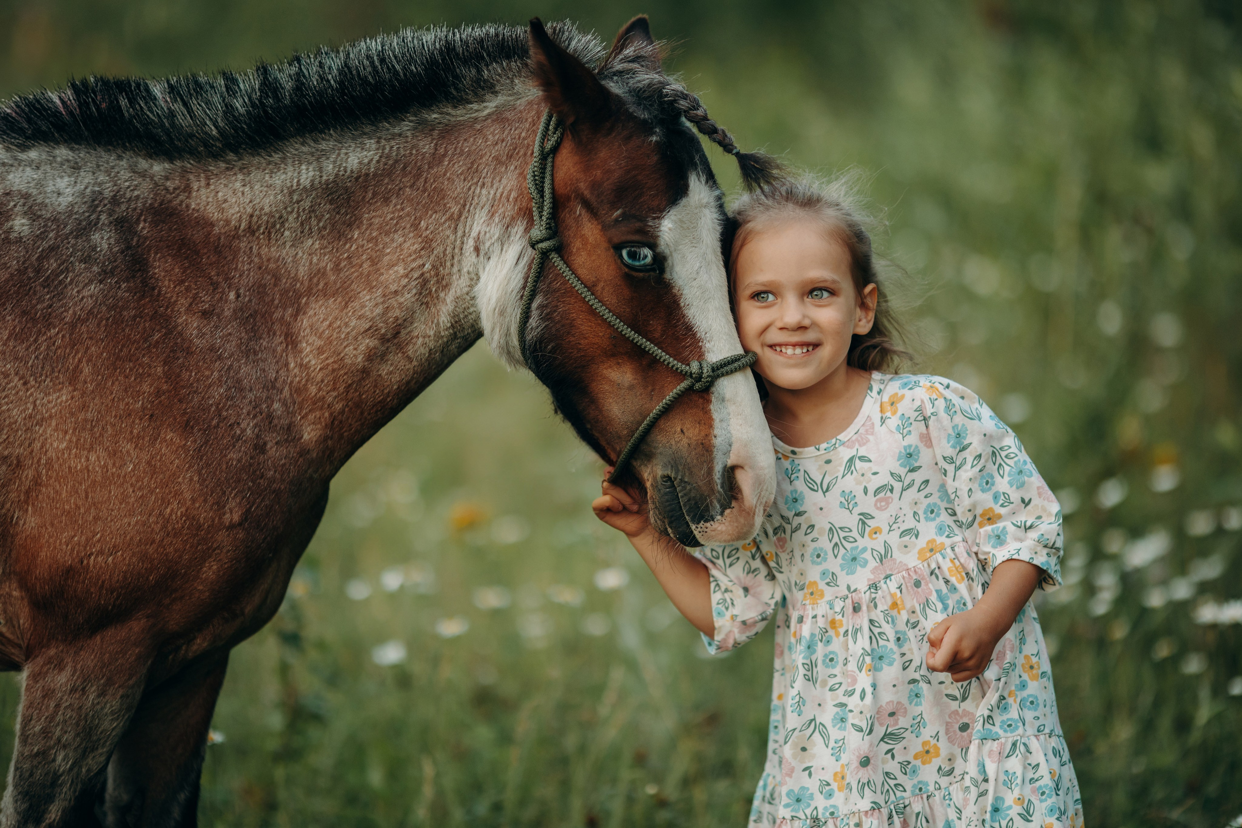 Малышка Вика. Анна Молчанова конный фотограф в Тюмени | фотосессии с лошадьми Тюмень