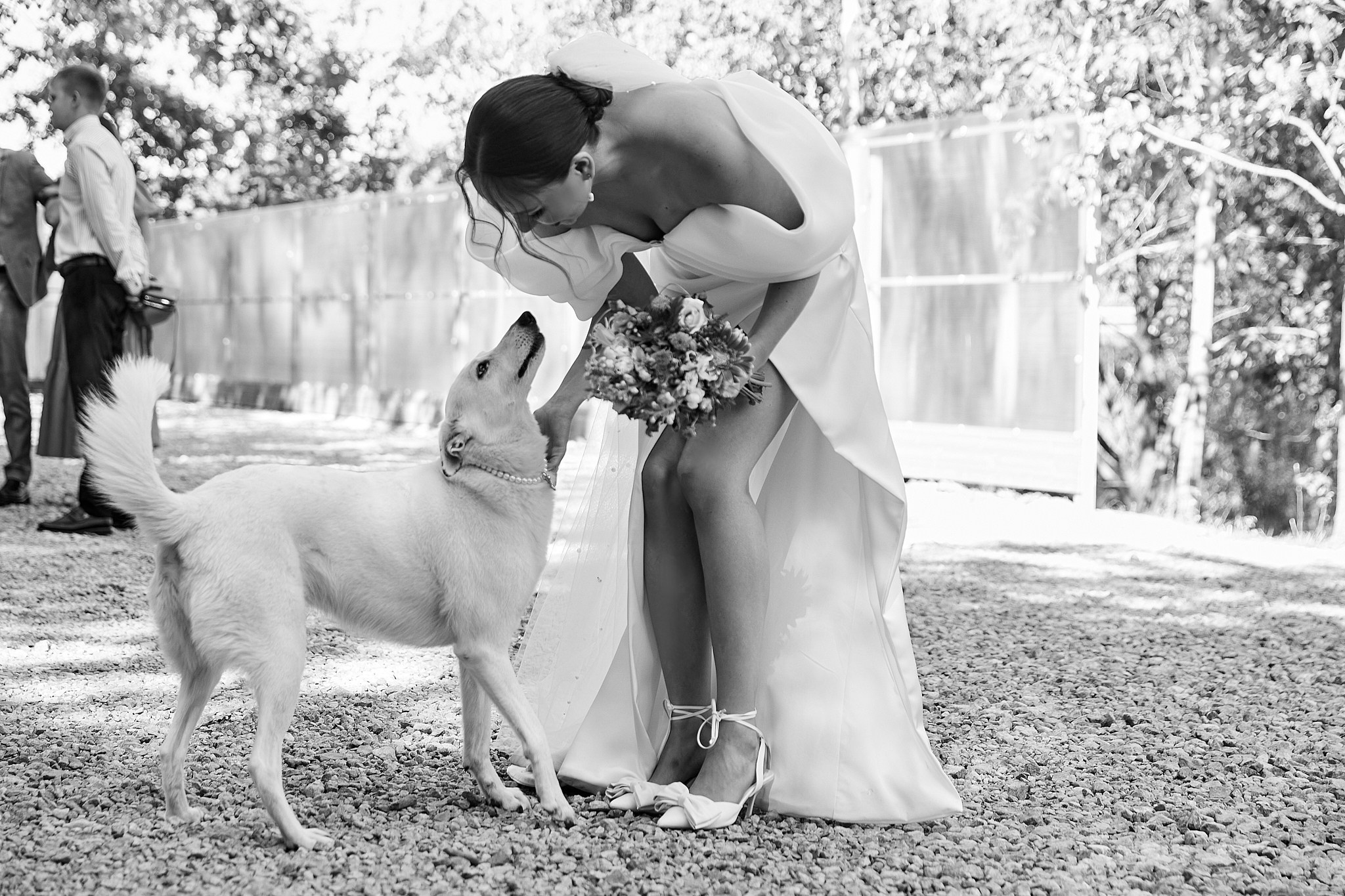 Свадебная фотосъёмка в Ульяновске. Свадебный фотограф в Ульяновске Александр Никитин